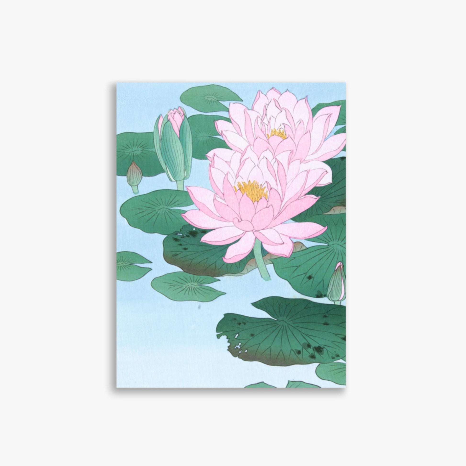 Ohara Koson - Water Lily 30x40 cm Poster