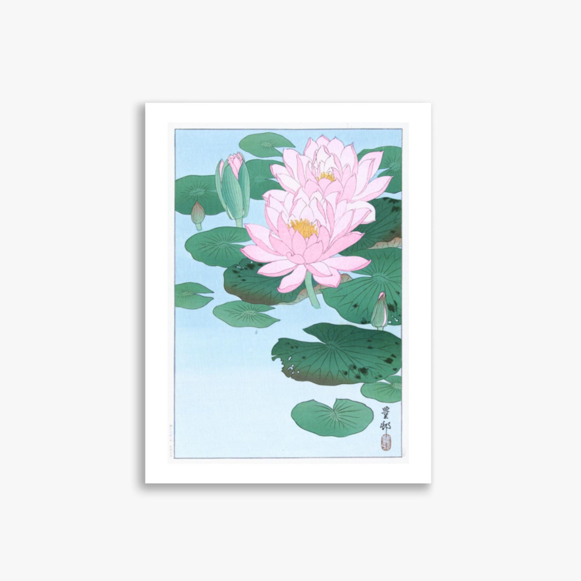 Ohara Koson - Water Lily 30x40 cm Poster