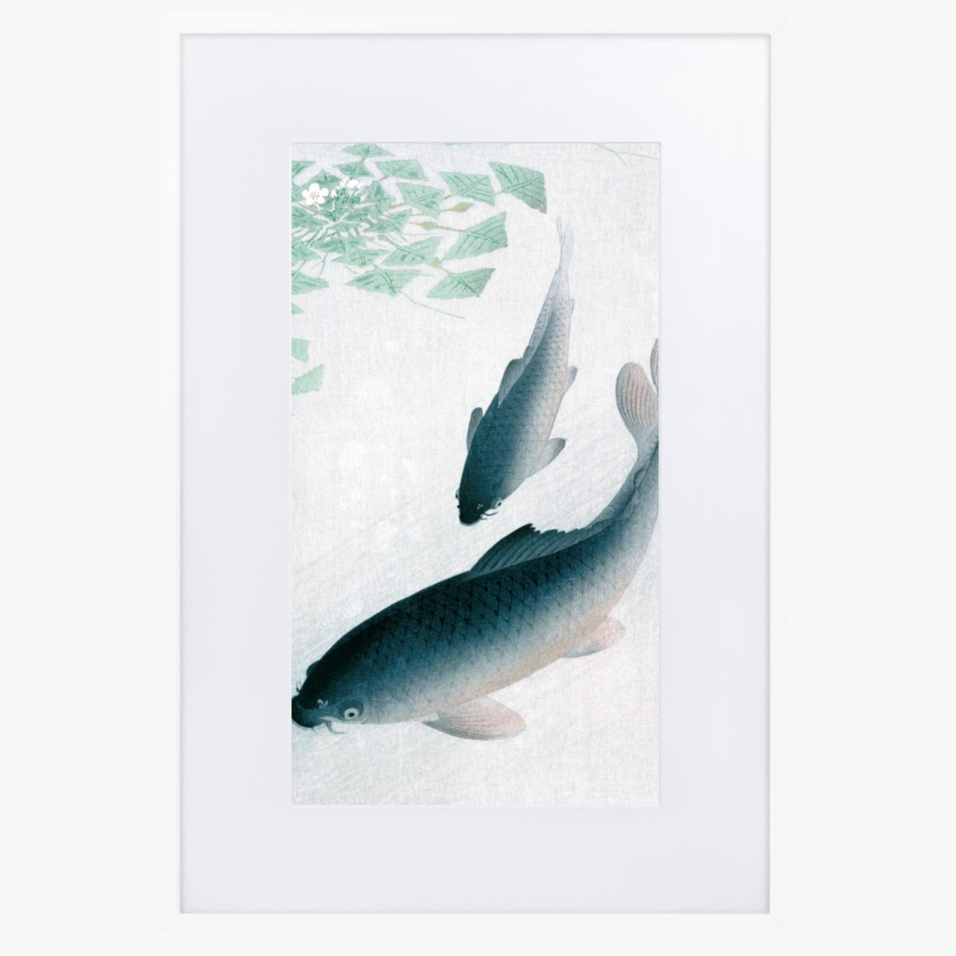 Ohara Koson - Carp or Koi 61x91 cm Poster With White Frame