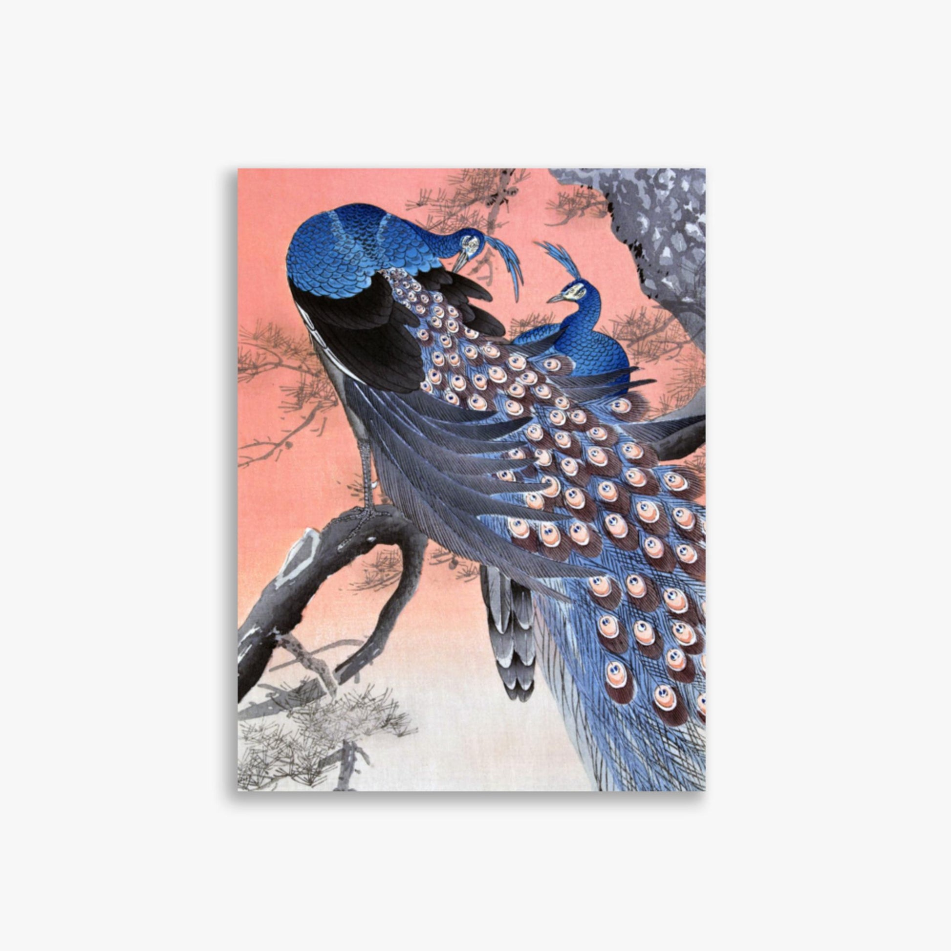 Ohara Koson - Two Peacocks on Tree Branch 30x40 cm Poster