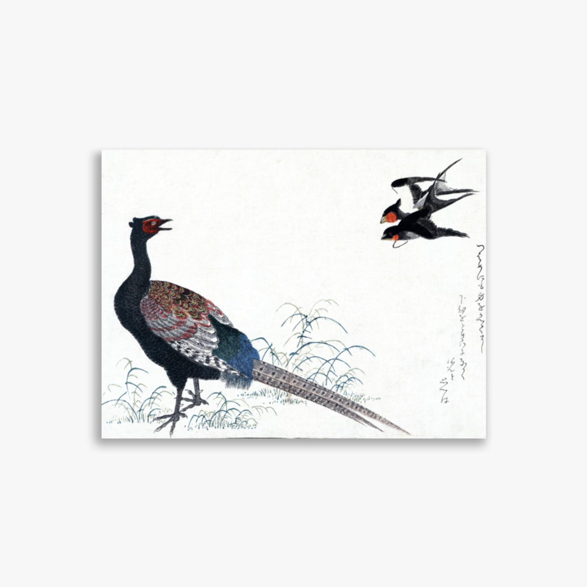 Utamaro Kitagawa - Swallows and Pheasant 30x40 cm Poster