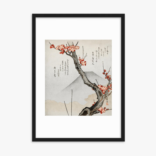 Teisai Hokuba - Mount Fuji and a Flowering Plum 50x70 cm Poster With Black Frame