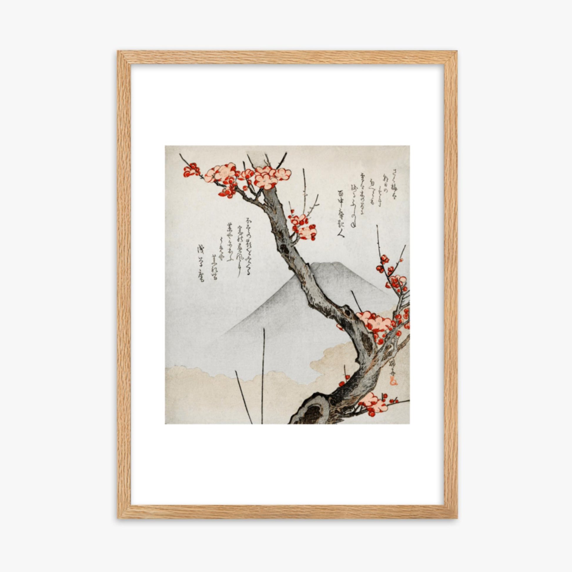 Teisai Hokuba - Mount Fuji and a Flowering Plum 50x70 cm Poster With Oak Frame