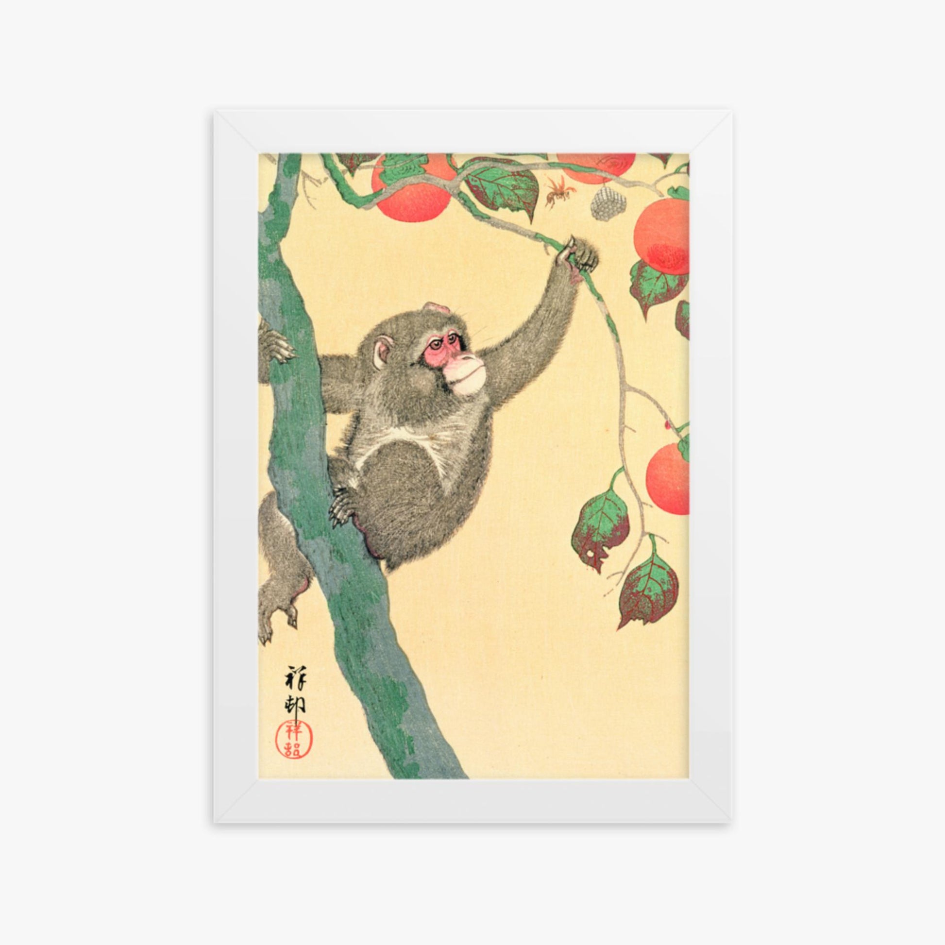 Ohara Koson: Monkey in a Persimmon - 21x30 cm Poster With White Frame