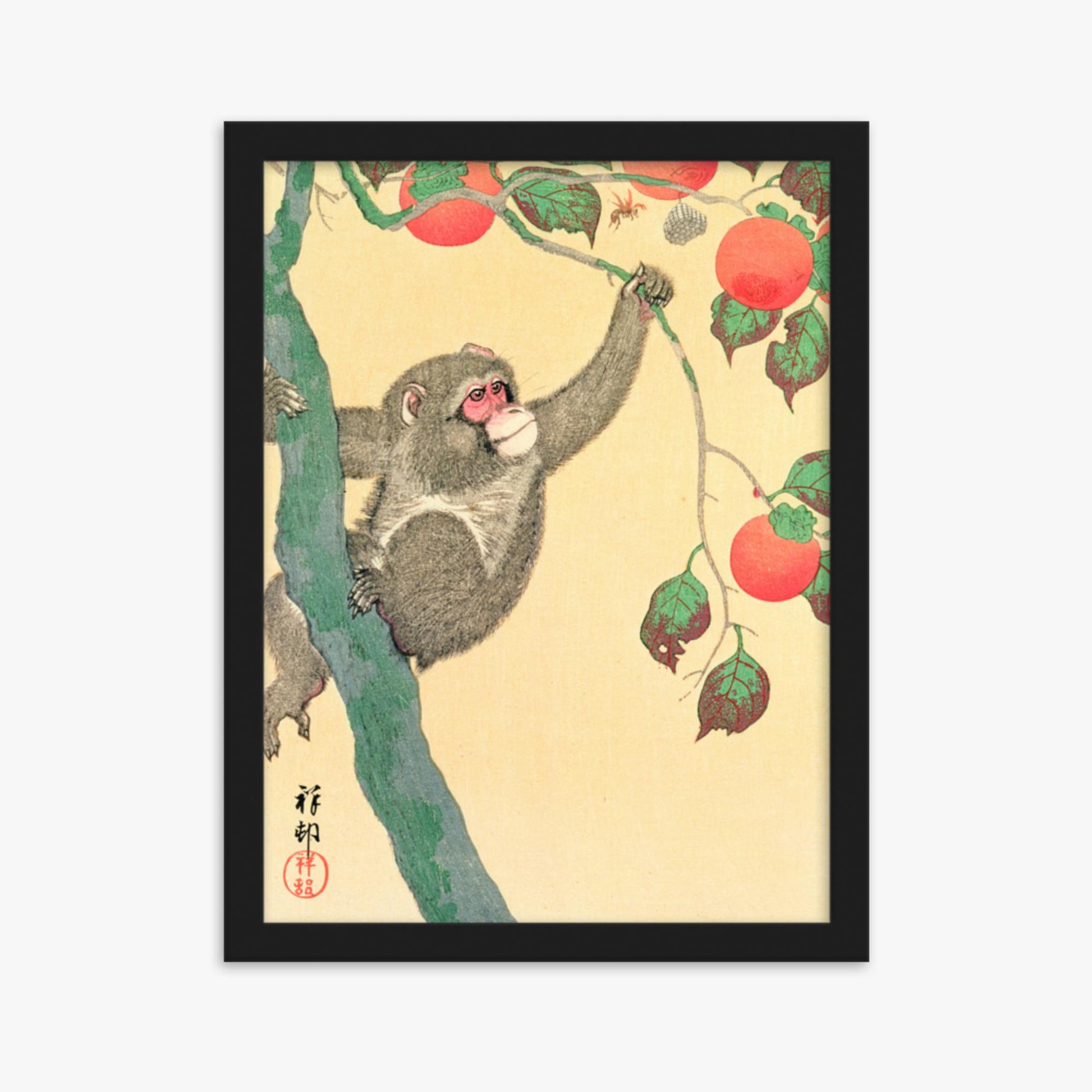 Ohara Koson: Monkey in a Persimmon - 30x40 cm Poster With Black Frame