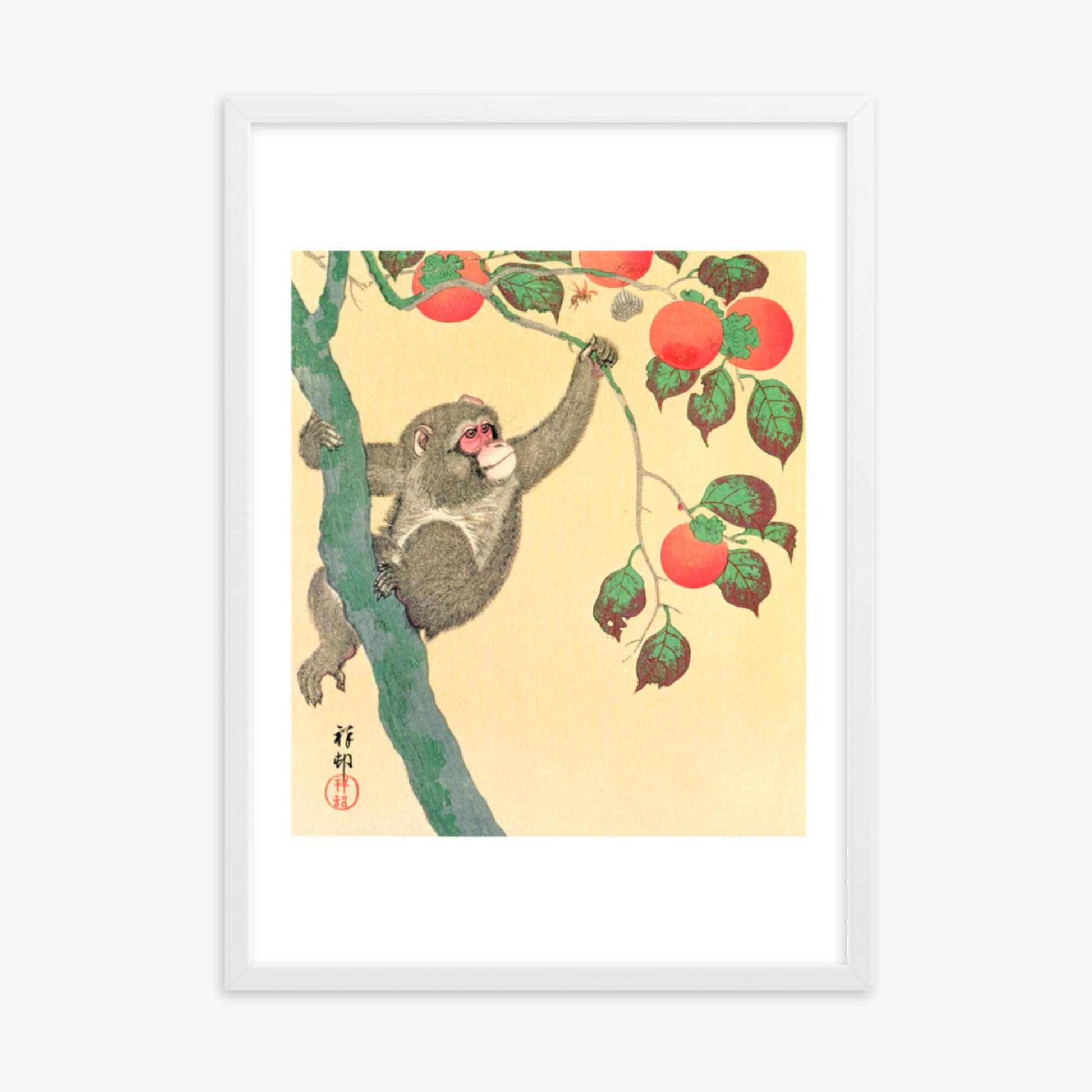 Ohara Koson: Monkey in a Persimmon - 50x70 cm Poster With White Frame