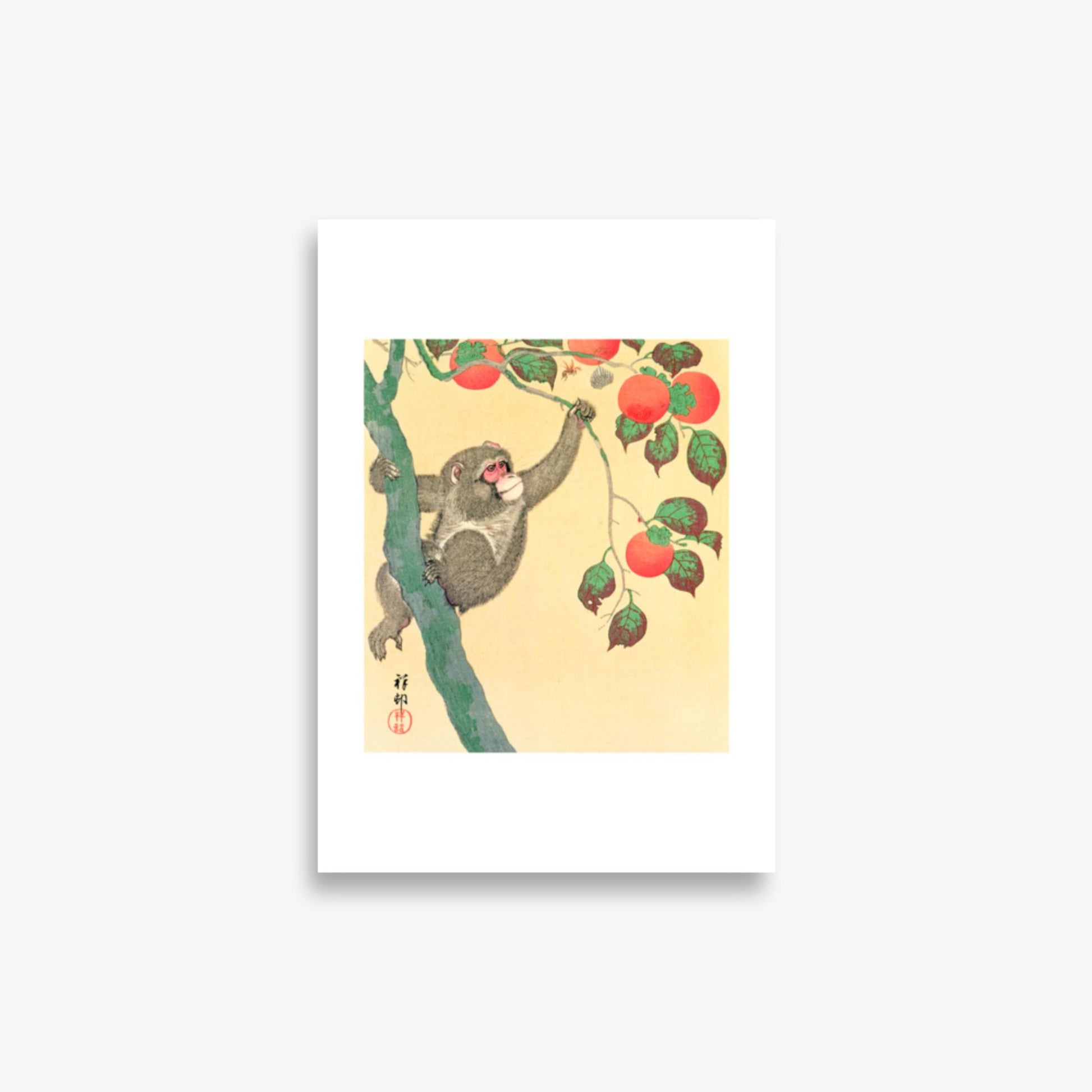 Ohara Koson: Monkey in a Persimmon - 21x30 cm Poster