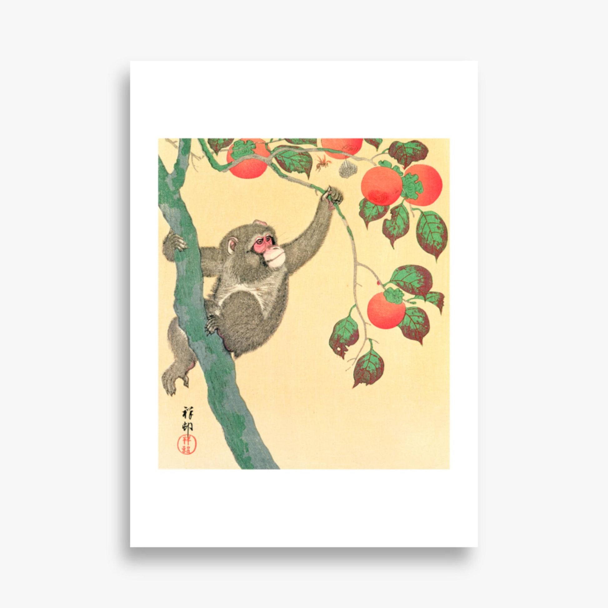 Ohara Koson: Monkey in a Persimmon - 50x70 cm Poster