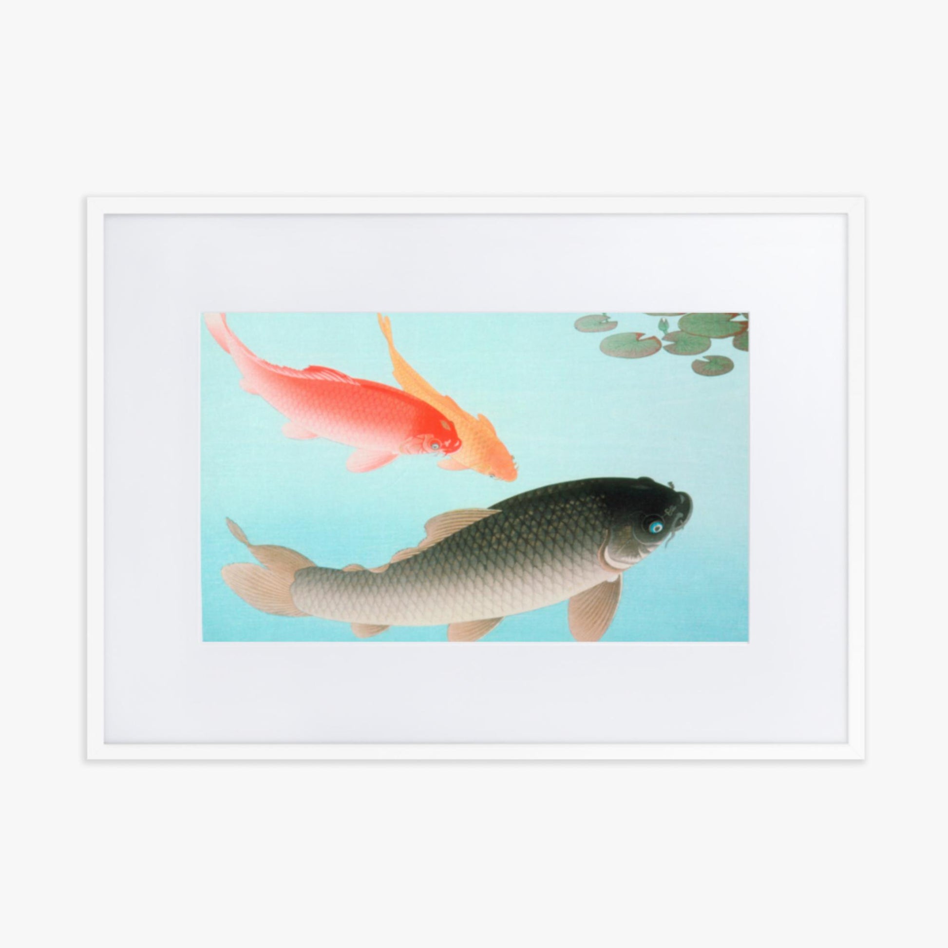 Ohara Koson - Common and Golden Carp 50x70 cm Poster With White Frame