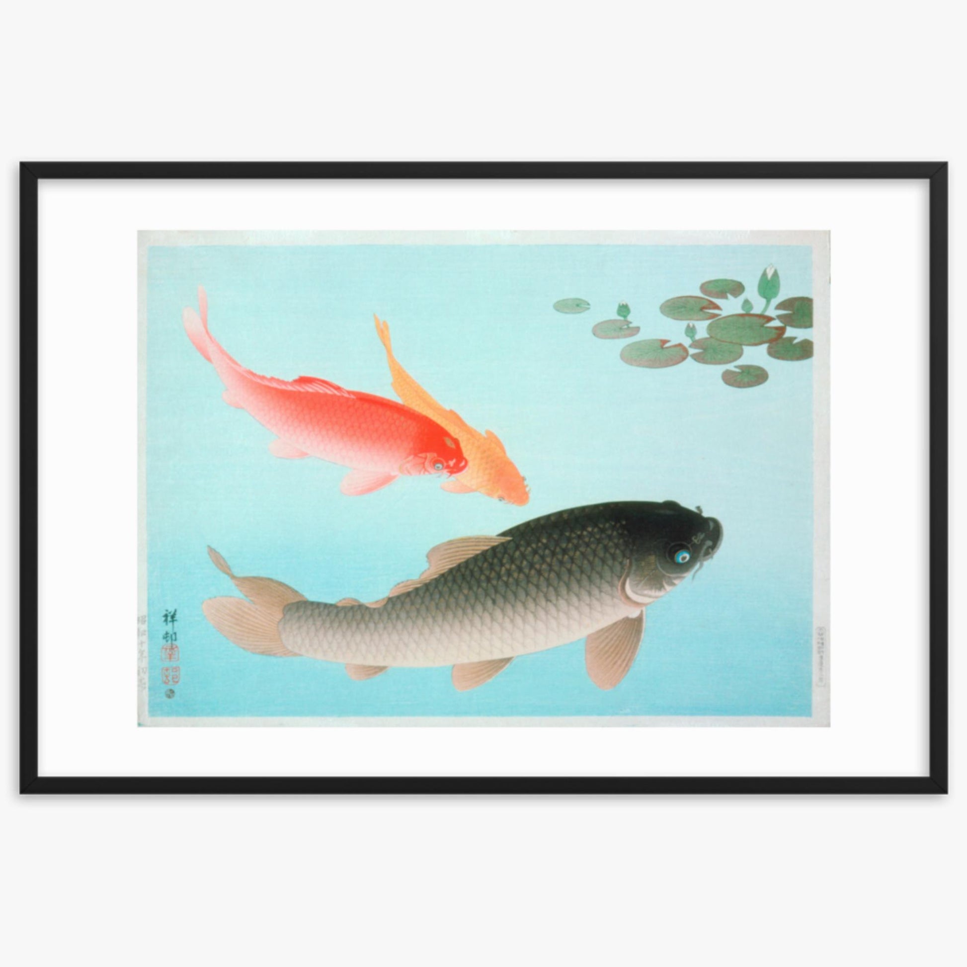 Ohara Koson - Common and Golden Carp 61x91 cm Poster With Black Frame