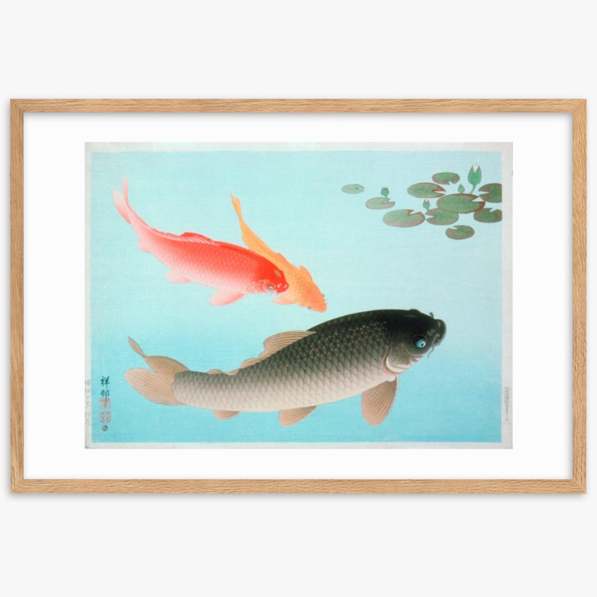 Ohara Koson - Common and Golden Carp 61x91 cm Poster With Oak Frame