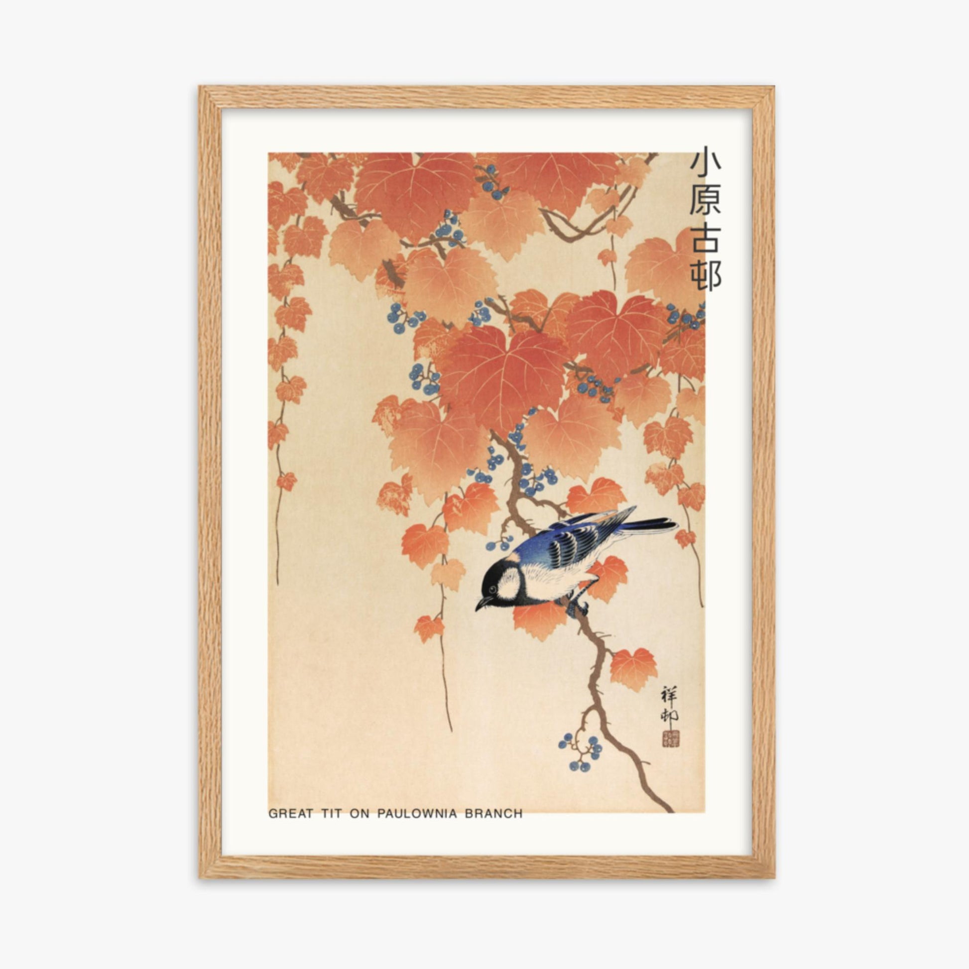 Ohara Koson - Great tit on paulownia branch - Decoration 50x70 cm Poster With Oak Frame