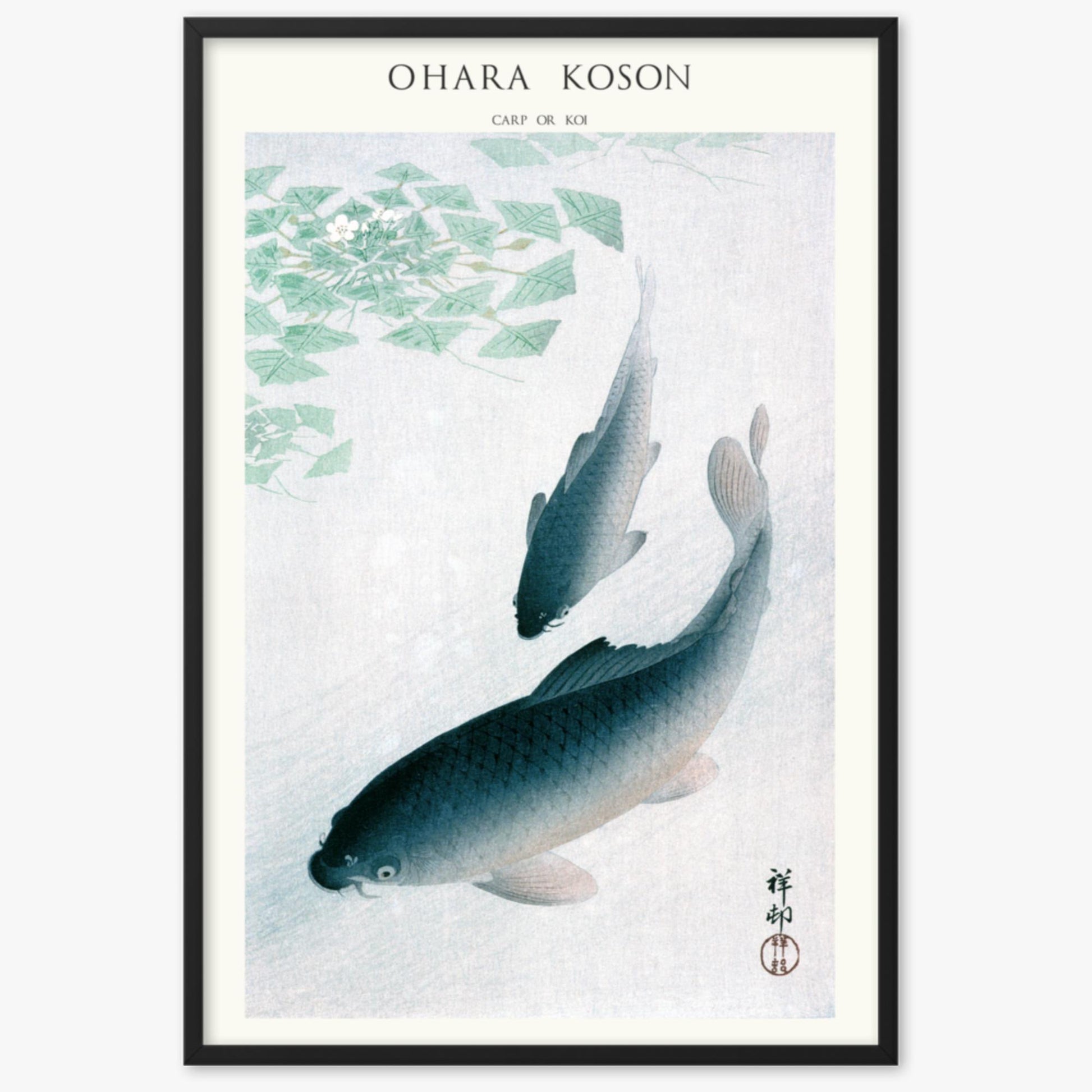 Ohara Koson - Carp or Koi - Decoration 61x91 cm Poster With Black Frame