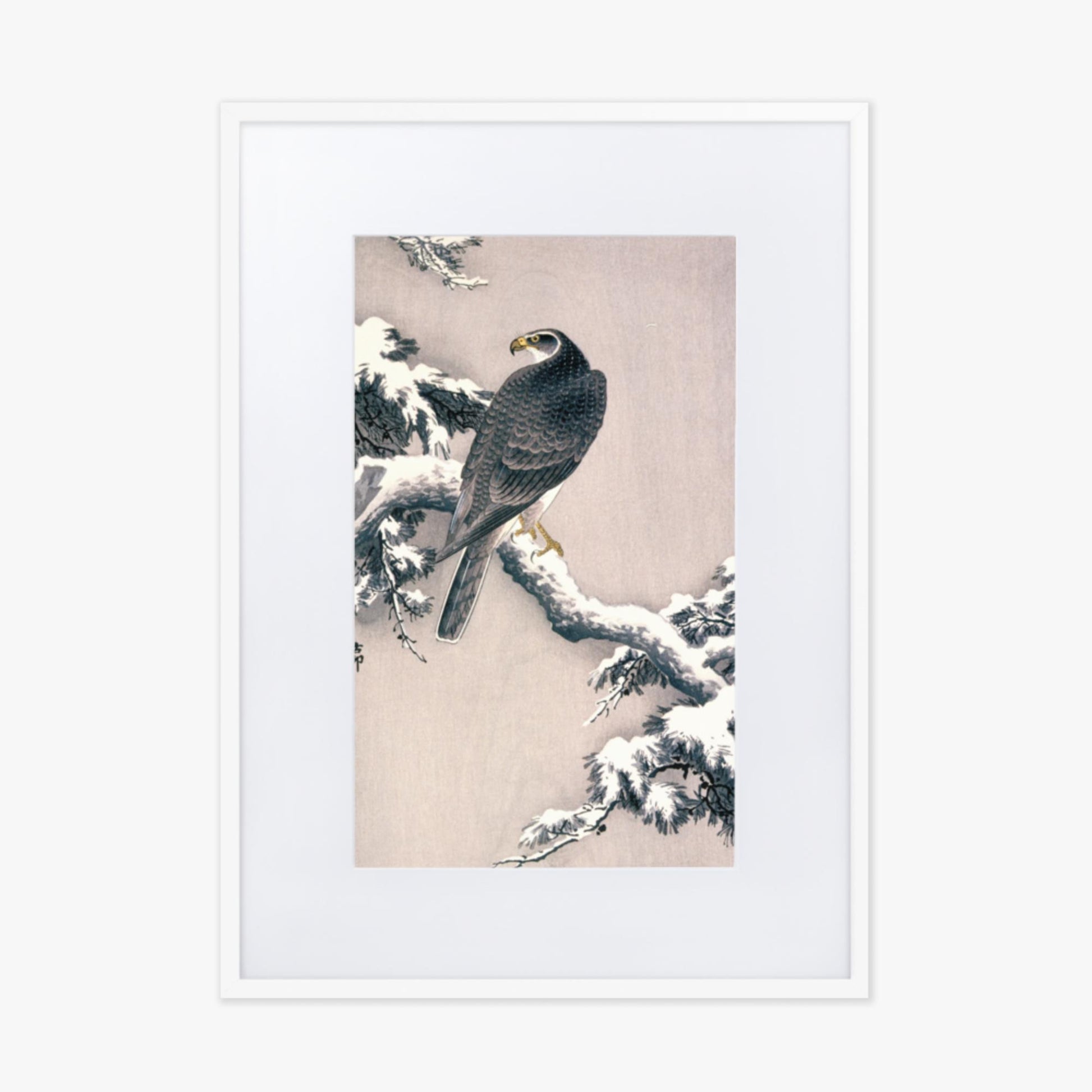 Ohara Koson - Goshawk on Snow-covered Pine Bough  50x70 cm Poster With White Frame