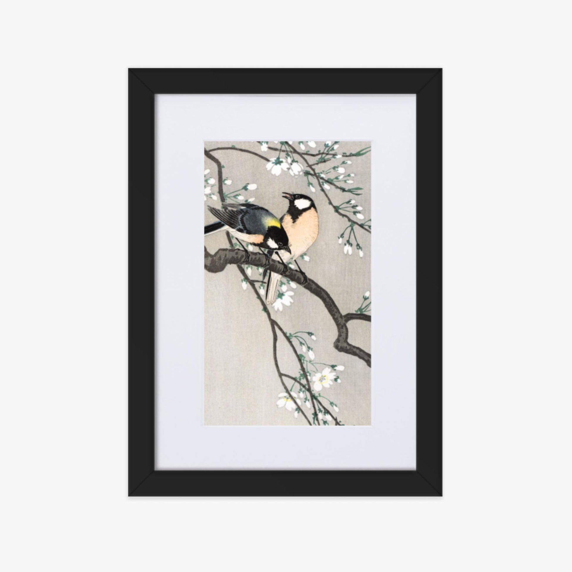 Ohara Koson - Tits on Cherry Branch 21x30 cm Poster With Black Frame