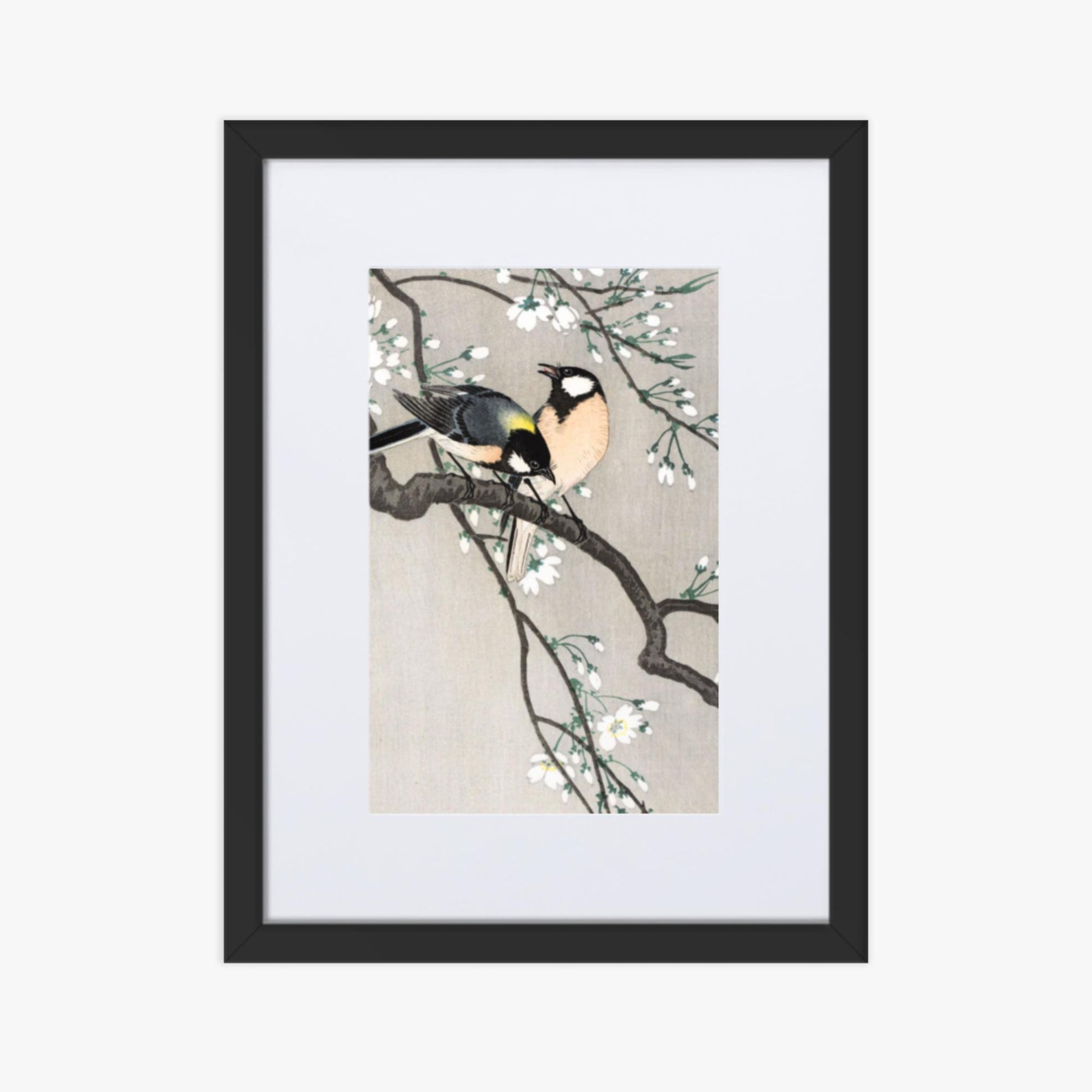 Ohara Koson - Tits on Cherry Branch 30x40 cm Poster With Black Frame