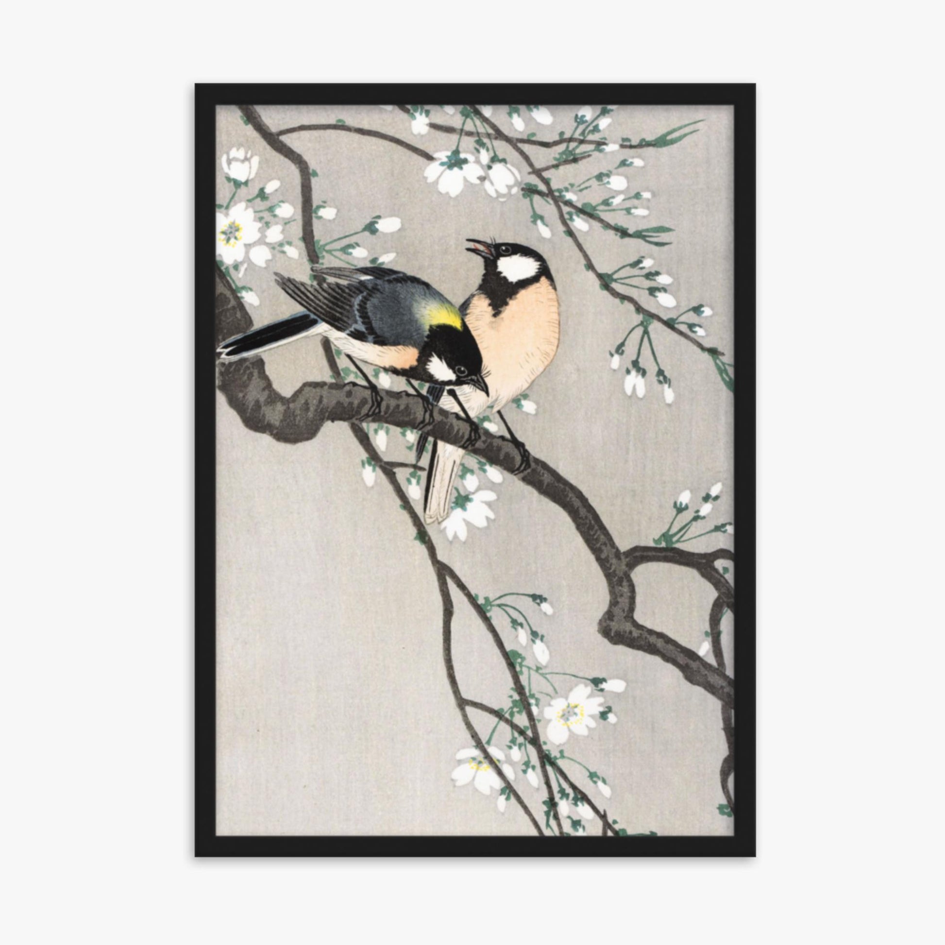 Ohara Koson - Tits on Cherry Branch 50x70 cm Poster With Black Frame