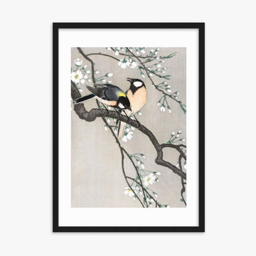 Ohara Koson - Tits on Cherry Branch 50x70 cm Poster With Black Frame