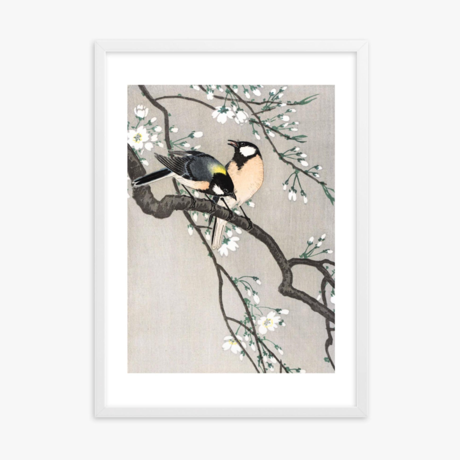 Ohara Koson - Tits on Cherry Branch 50x70 cm Poster With White Frame