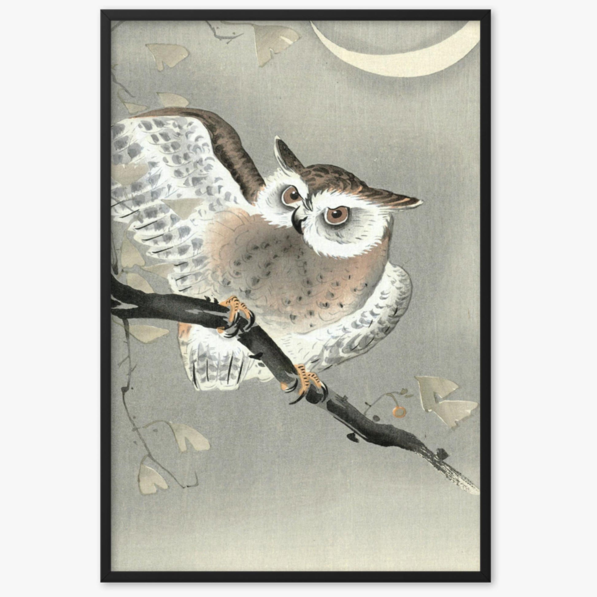 Ohara Koson - Long-Eared Owl in Ginkgo 61x91 cm Poster With Black Frame