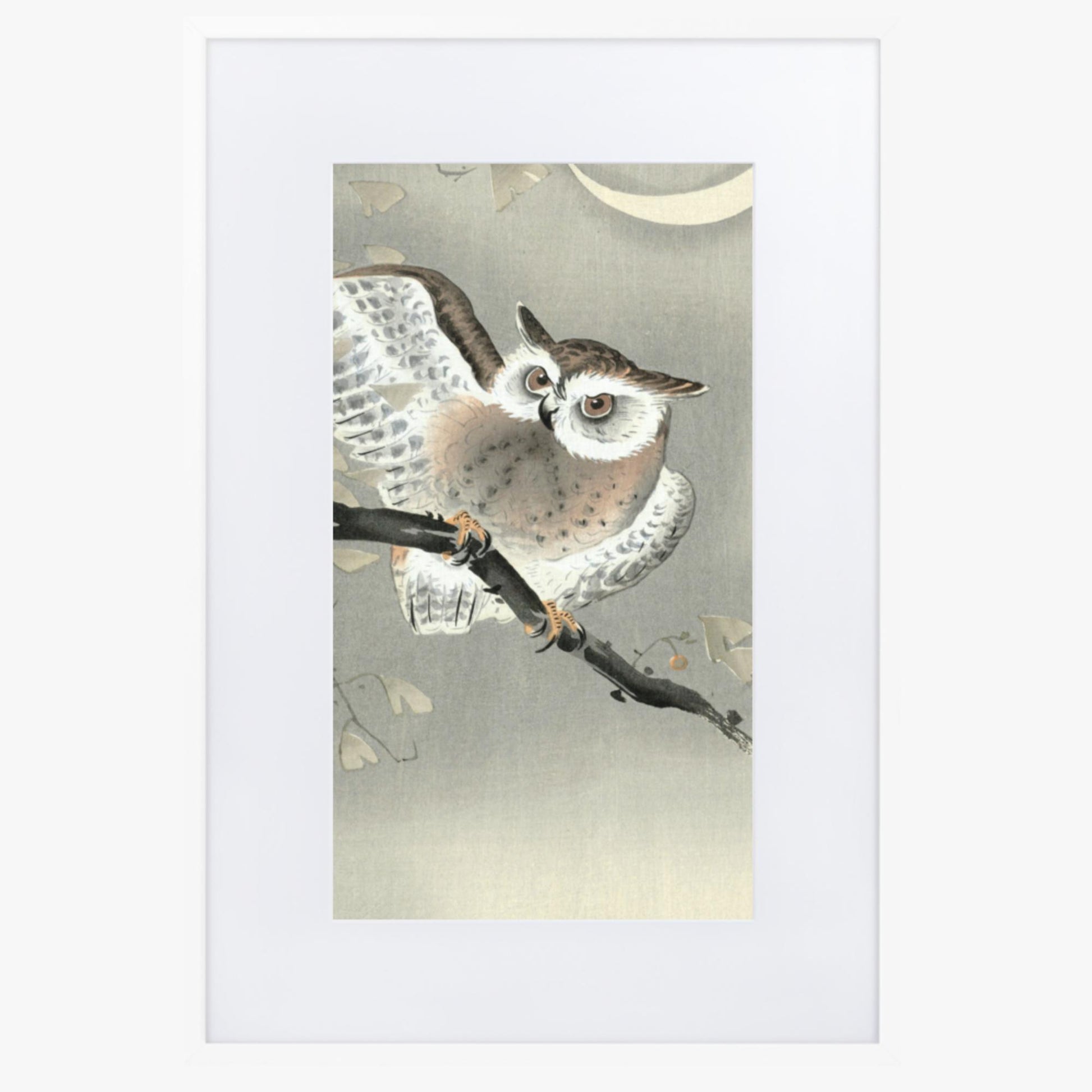 Ohara Koson - Long-Eared Owl in Ginkgo 61x91 cm Poster With White Frame