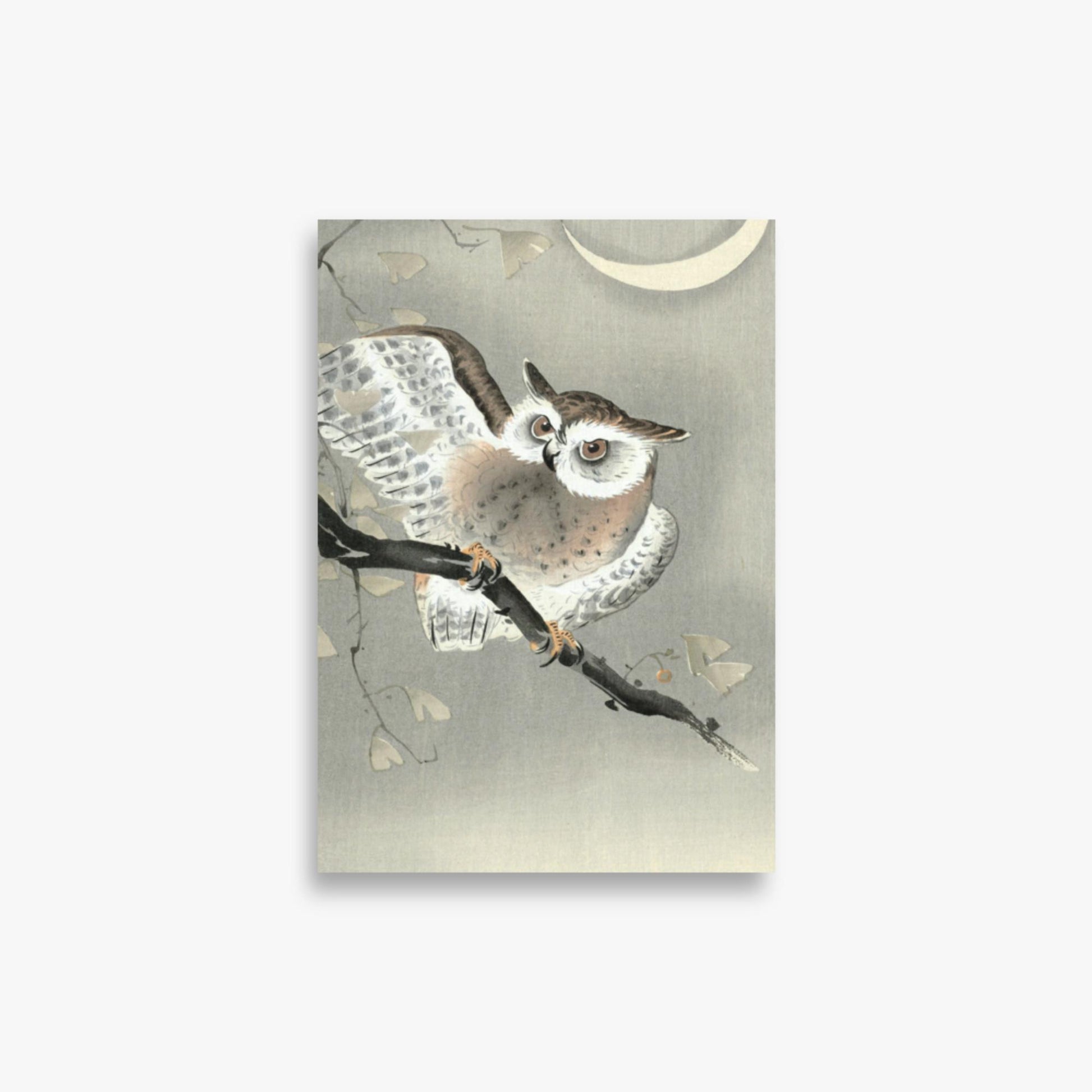 Ohara Koson - Long-Eared Owl in Ginkgo 21x30 cm Poster