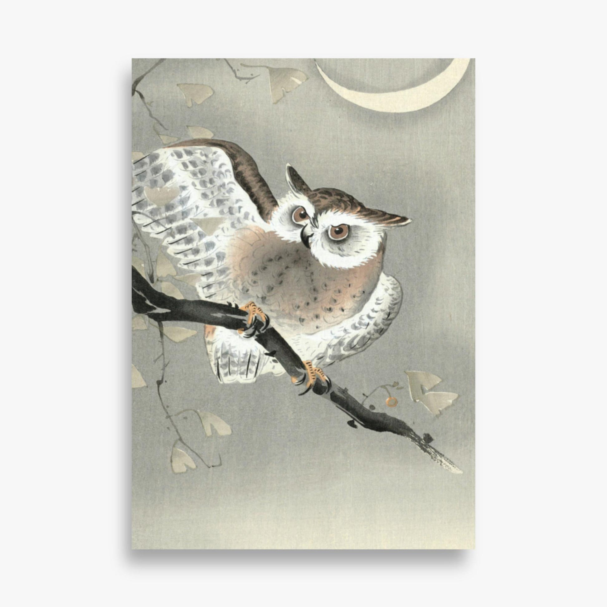 Ohara Koson - Long-Eared Owl in Ginkgo 70x100 cm Poster