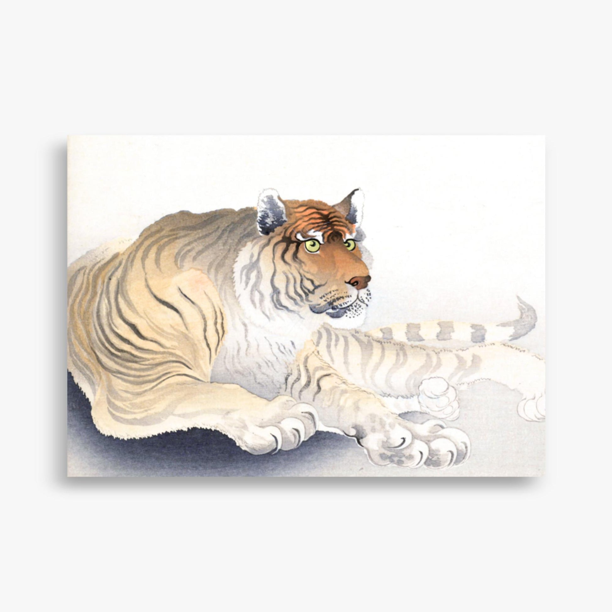 Ohara Koson - Tiger 50x70 cm Poster