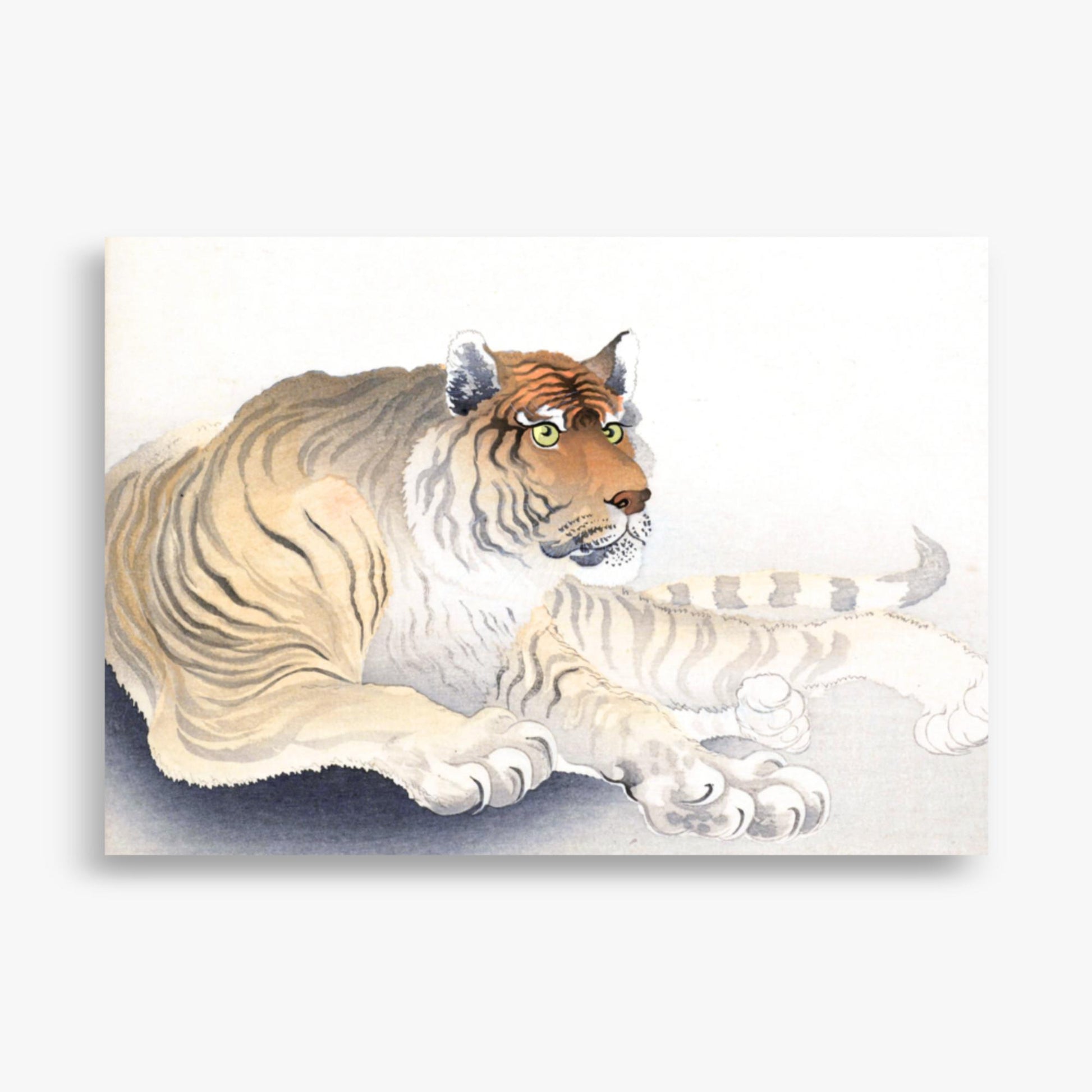 Ohara Koson - Tiger 70x100 cm Poster