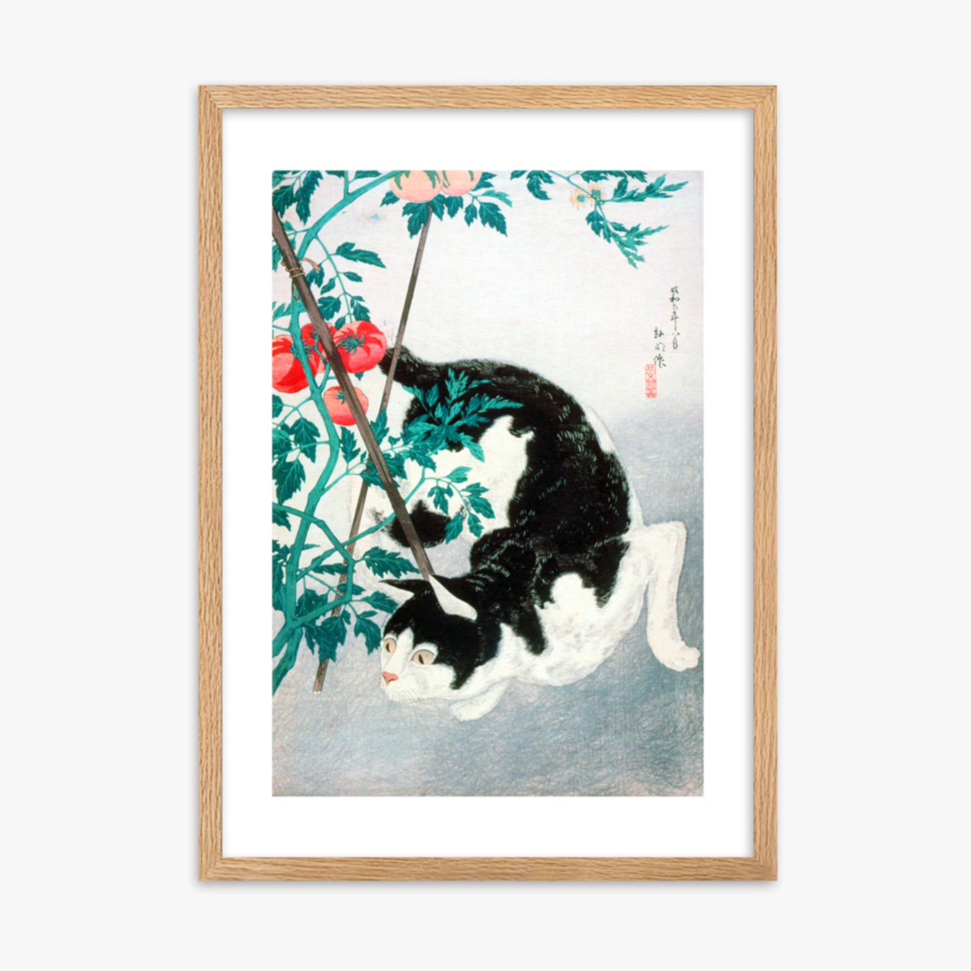 Takahashi Hiroaki (Shōtei) - Cat with Tomato Plant 50x70 cm Poster With Oak Frame