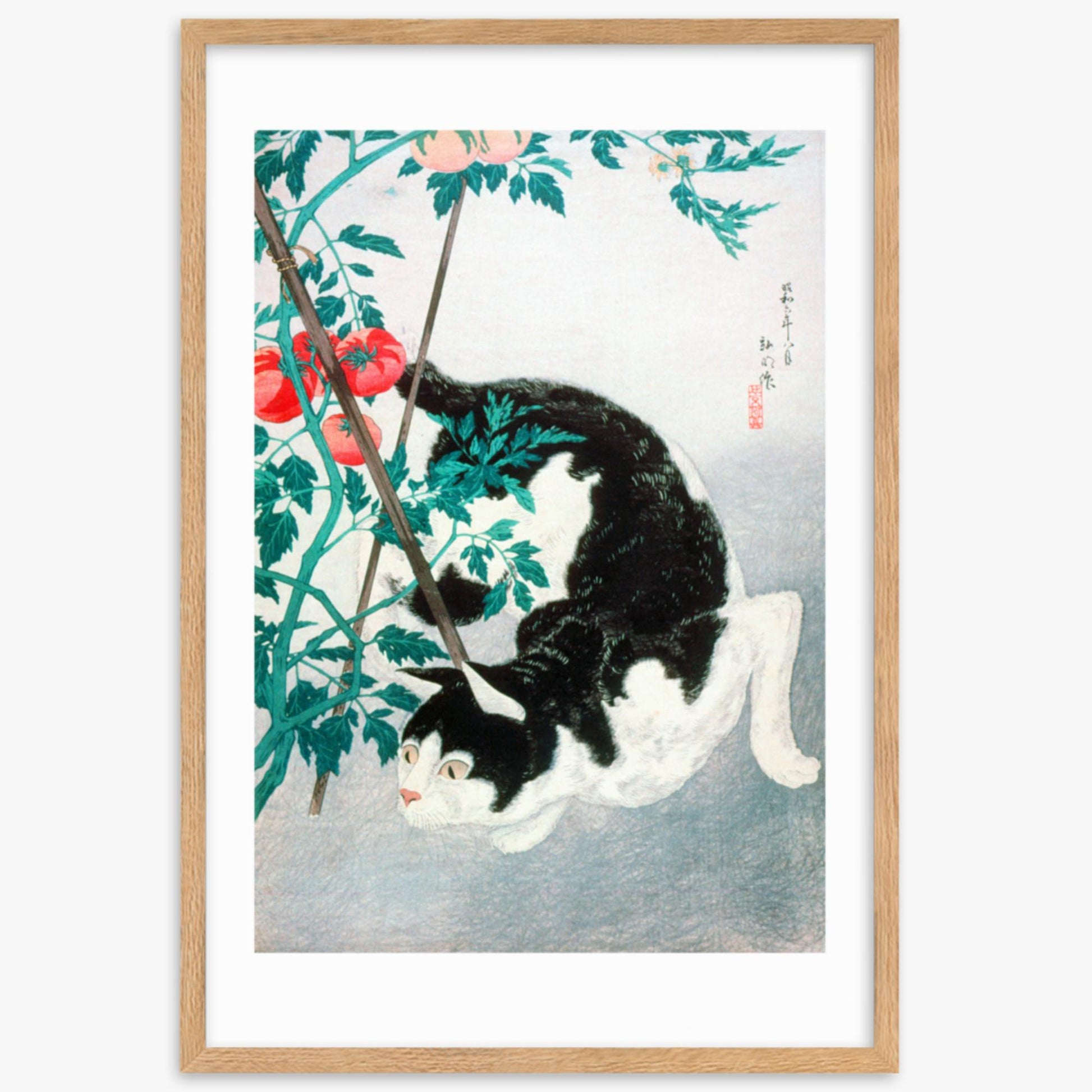 Takahashi Hiroaki (Shōtei) - Cat with Tomato Plant 61x91 cm Poster With Oak Frame