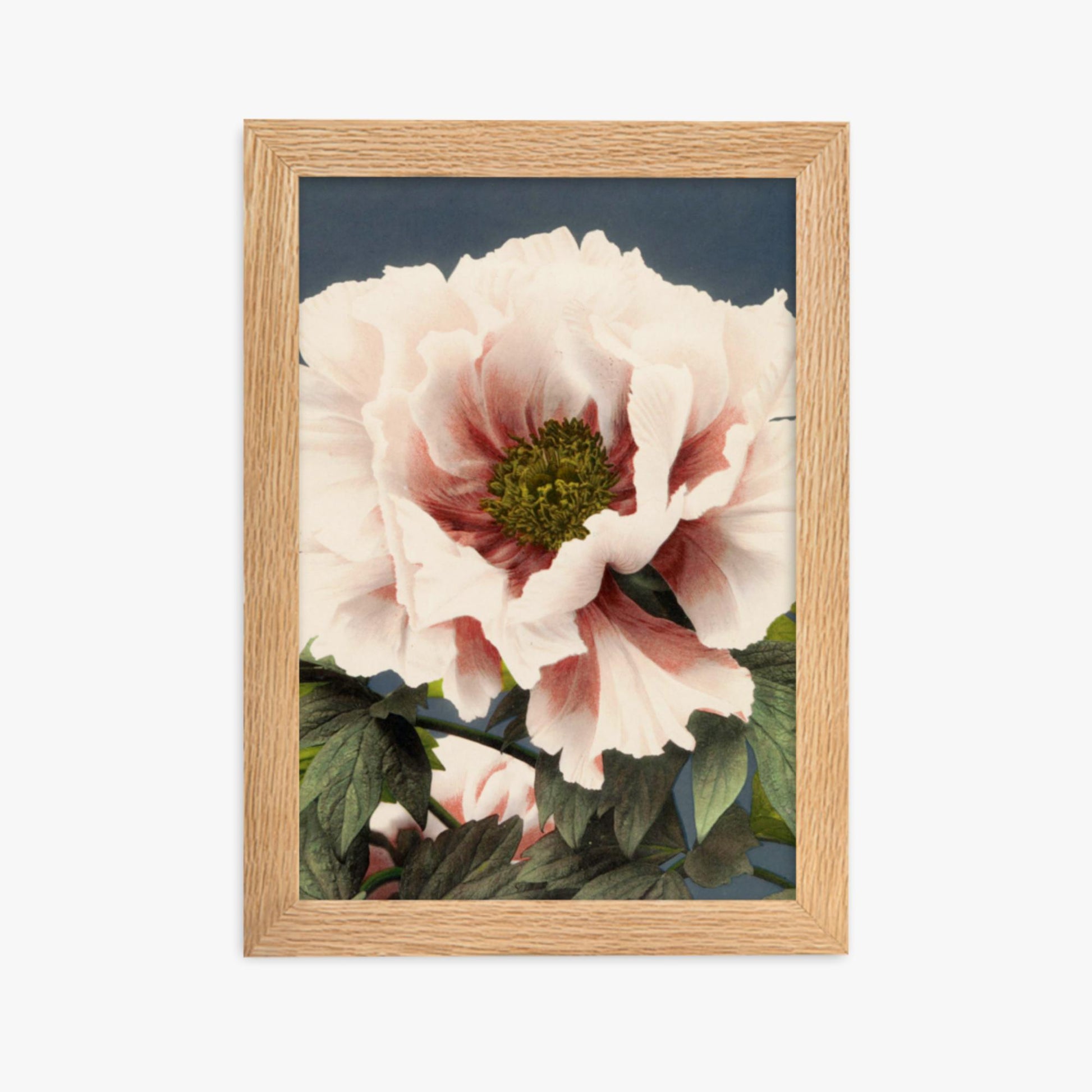 Ogawa Kazumasa - Peony 21x30 cm Poster With Oak Frame