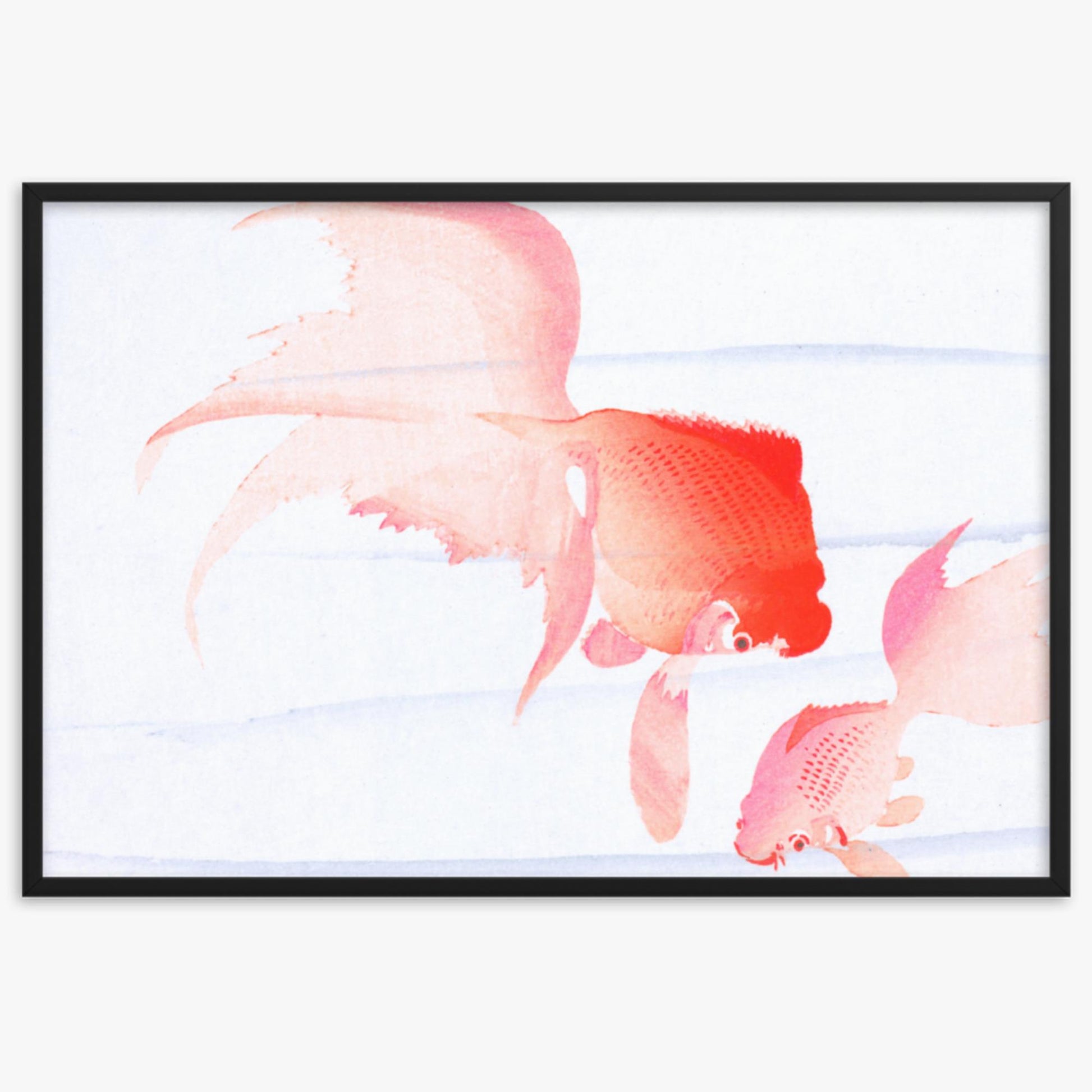 Ohara Koson - Gold Fish 61x91 cm Poster With Black Frame