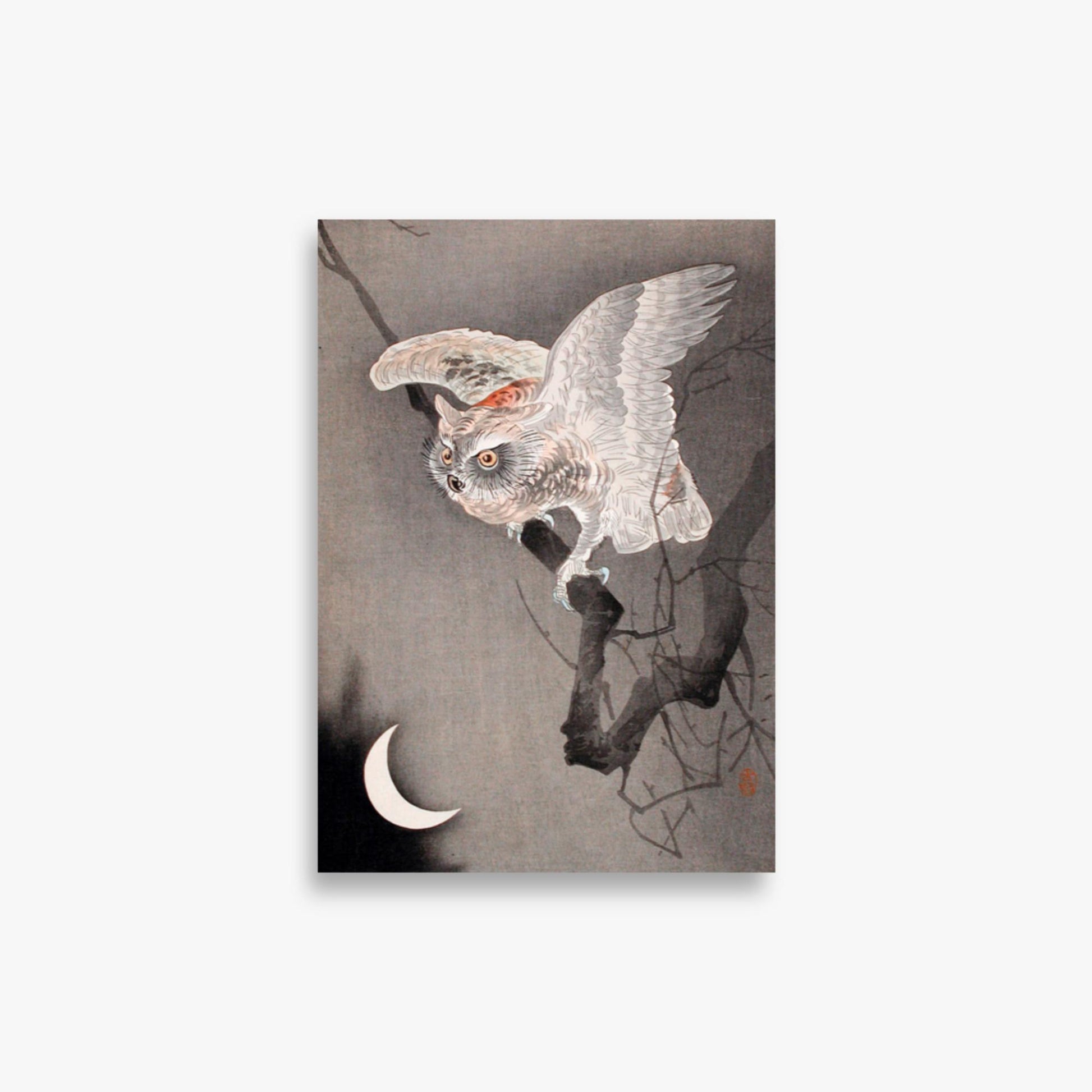 Ohara Koson - Scops Owl in Moonlight  21x30 cm Poster