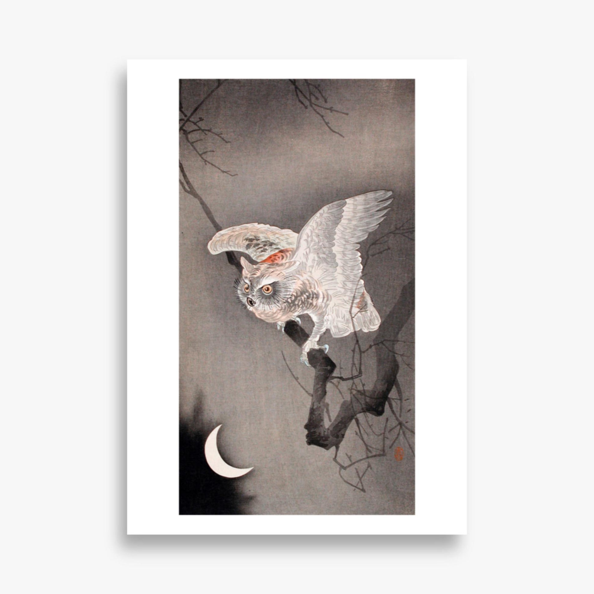 Ohara Koson - Scops Owl in Moonlight  50x70 cm Poster