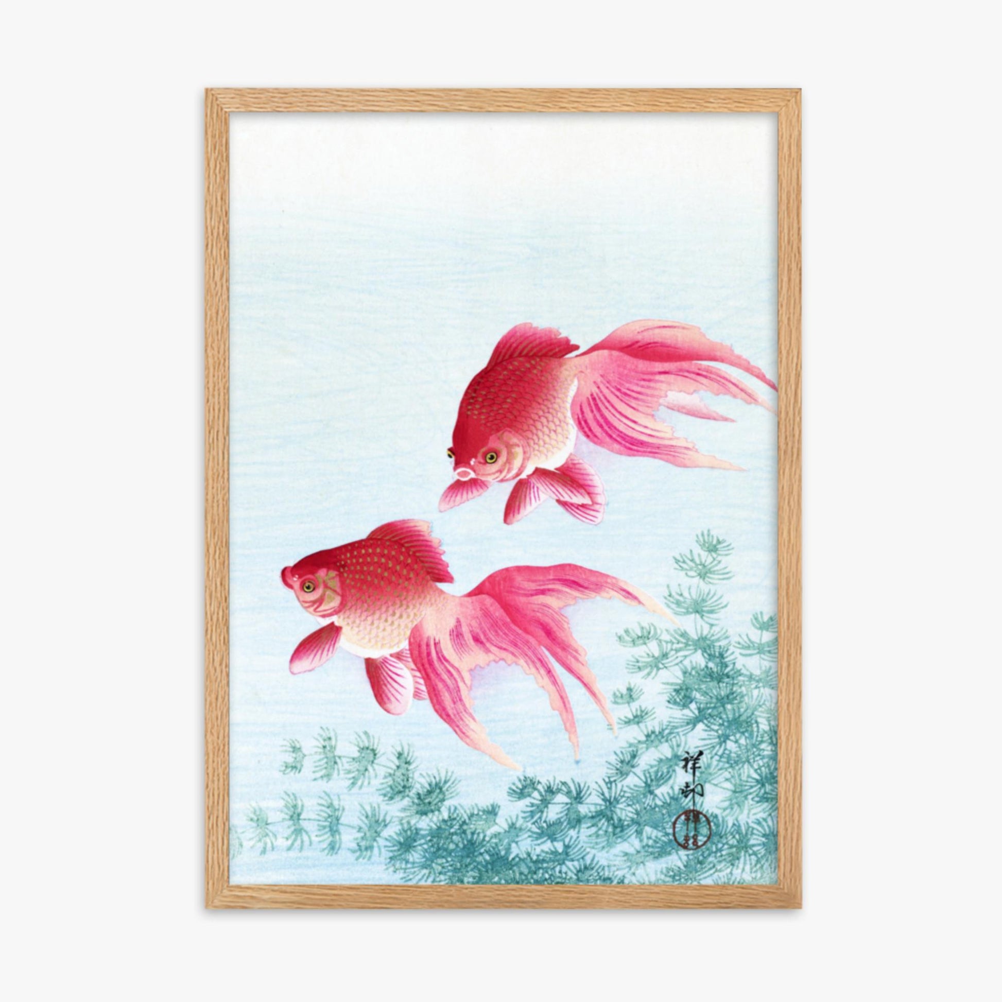 Ohara Koson - Two veil goldfish 50x70 cm Poster With Oak Frame