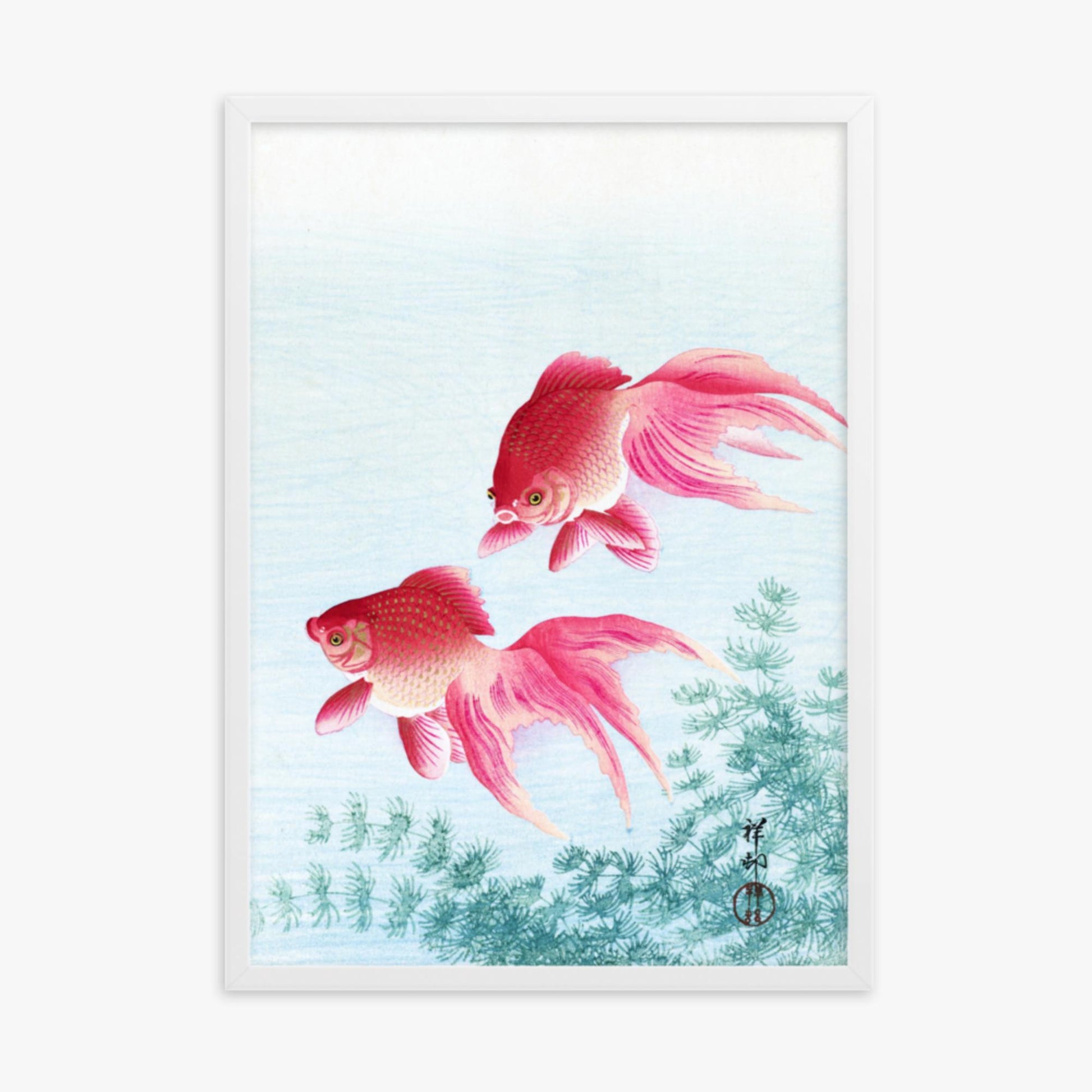 Ohara Koson - Two veil goldfish 50x70 cm Poster With White Frame