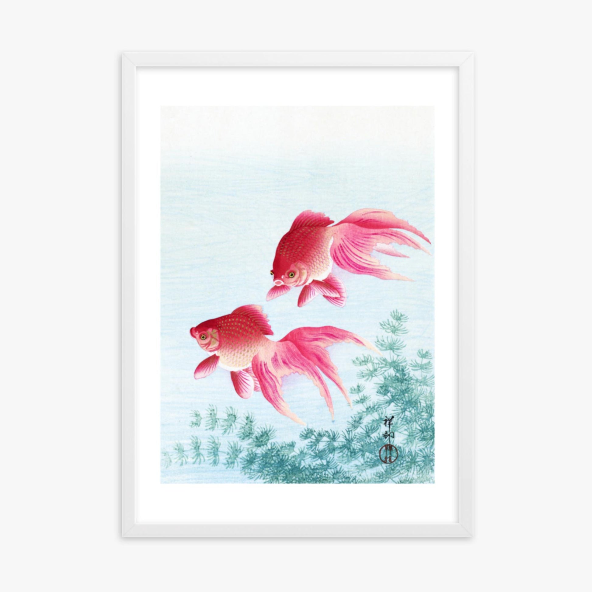 Ohara Koson - Two veil goldfish 50x70 cm Poster With White Frame