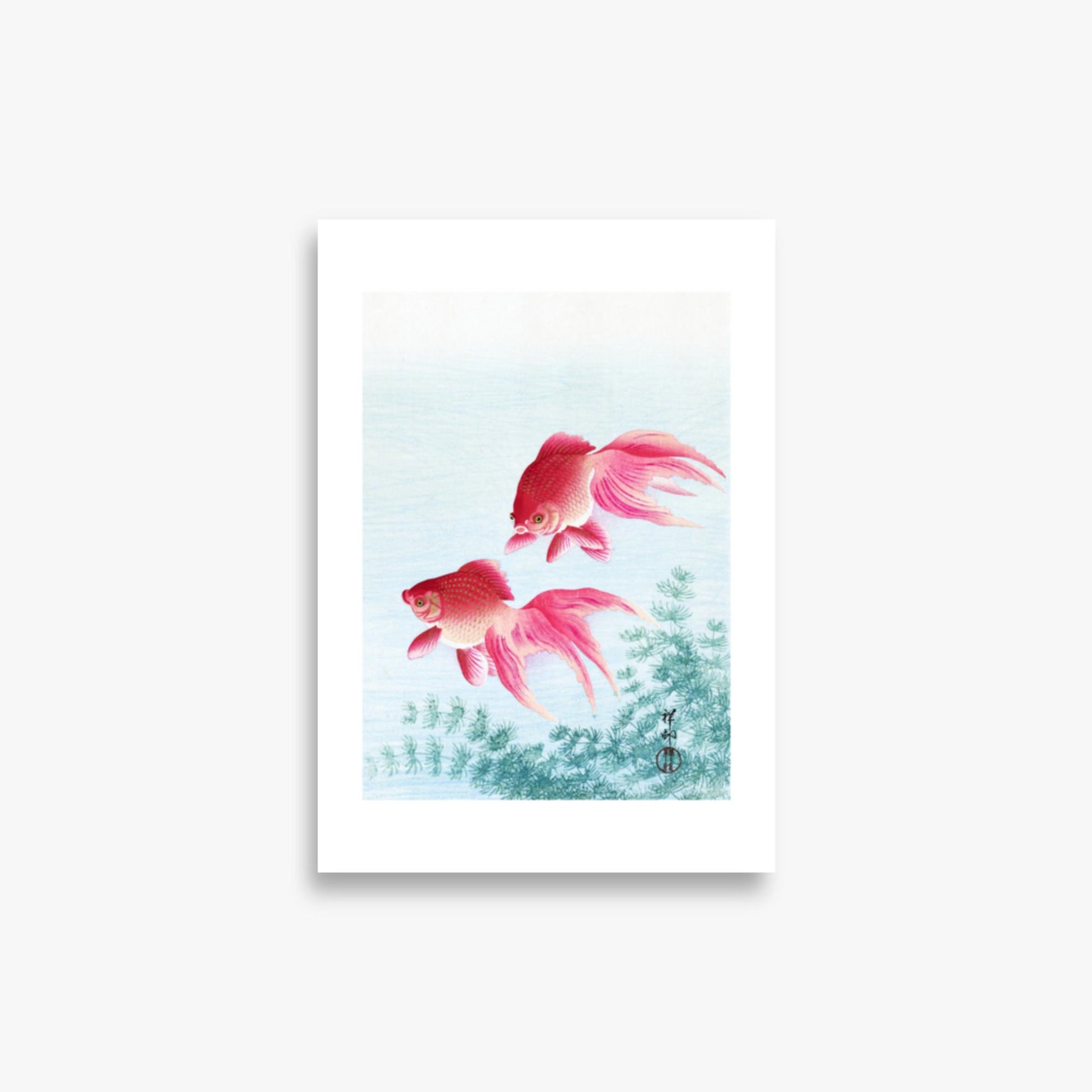 Ohara Koson - Two veil goldfish 21x30 cm Poster