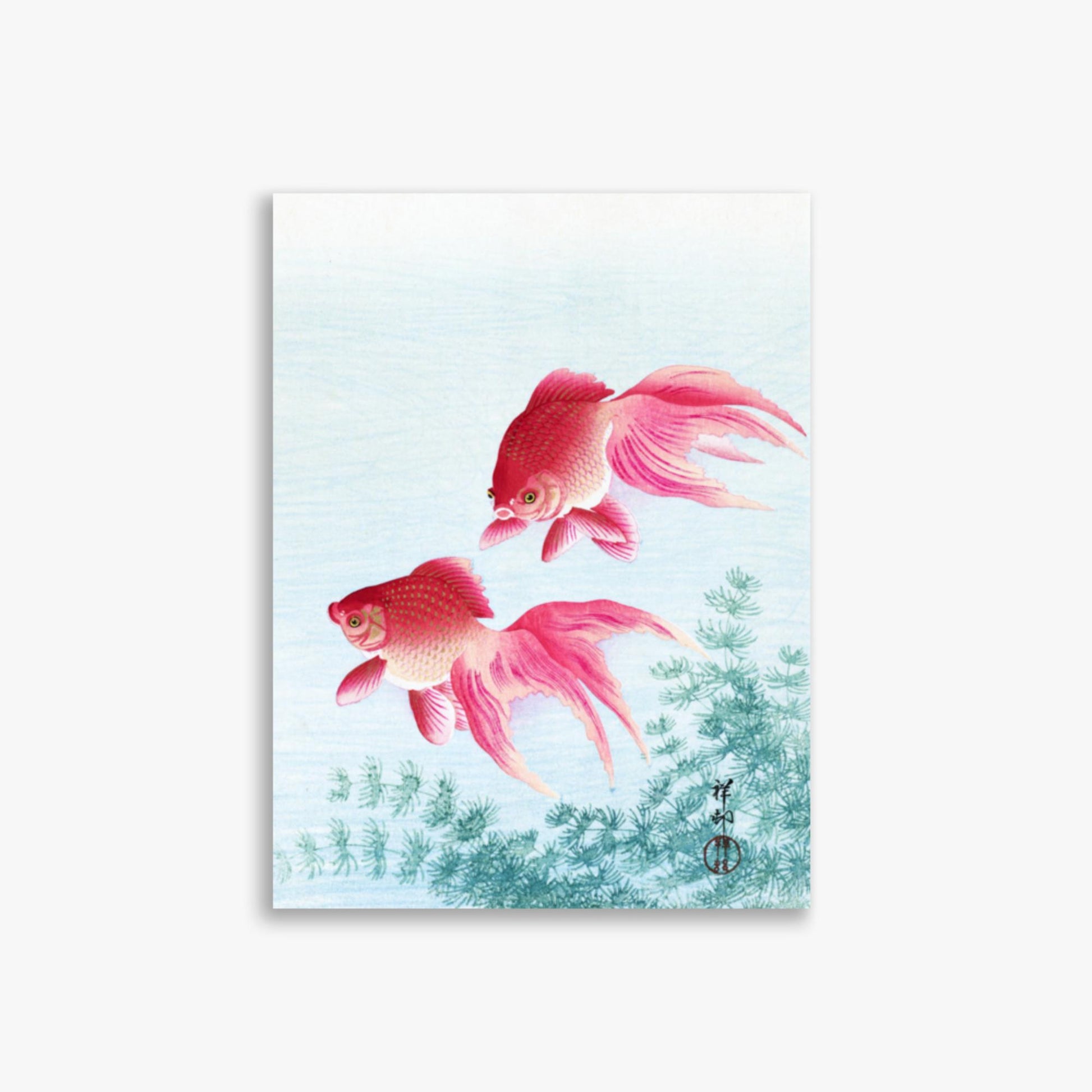 Ohara Koson - Two veil goldfish 30x40 cm Poster