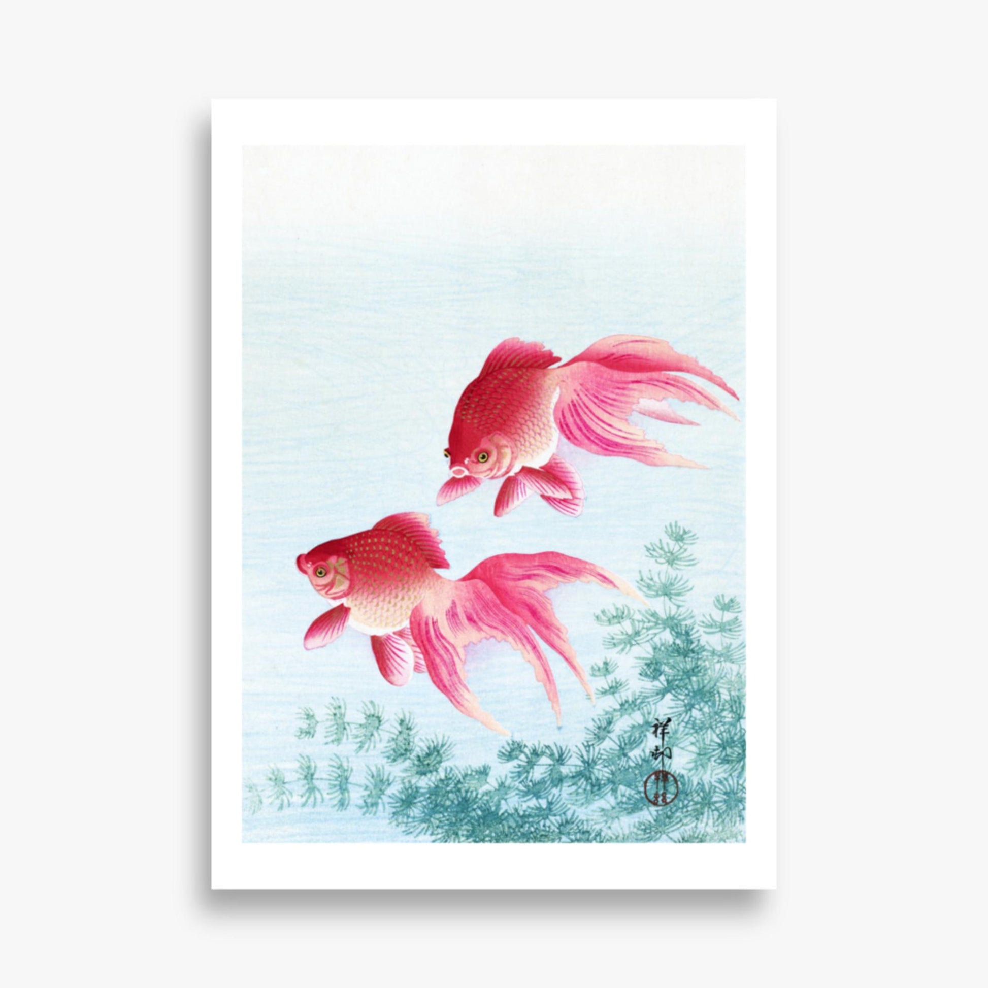 Ohara Koson - Two veil goldfish 50x70 cm Poster