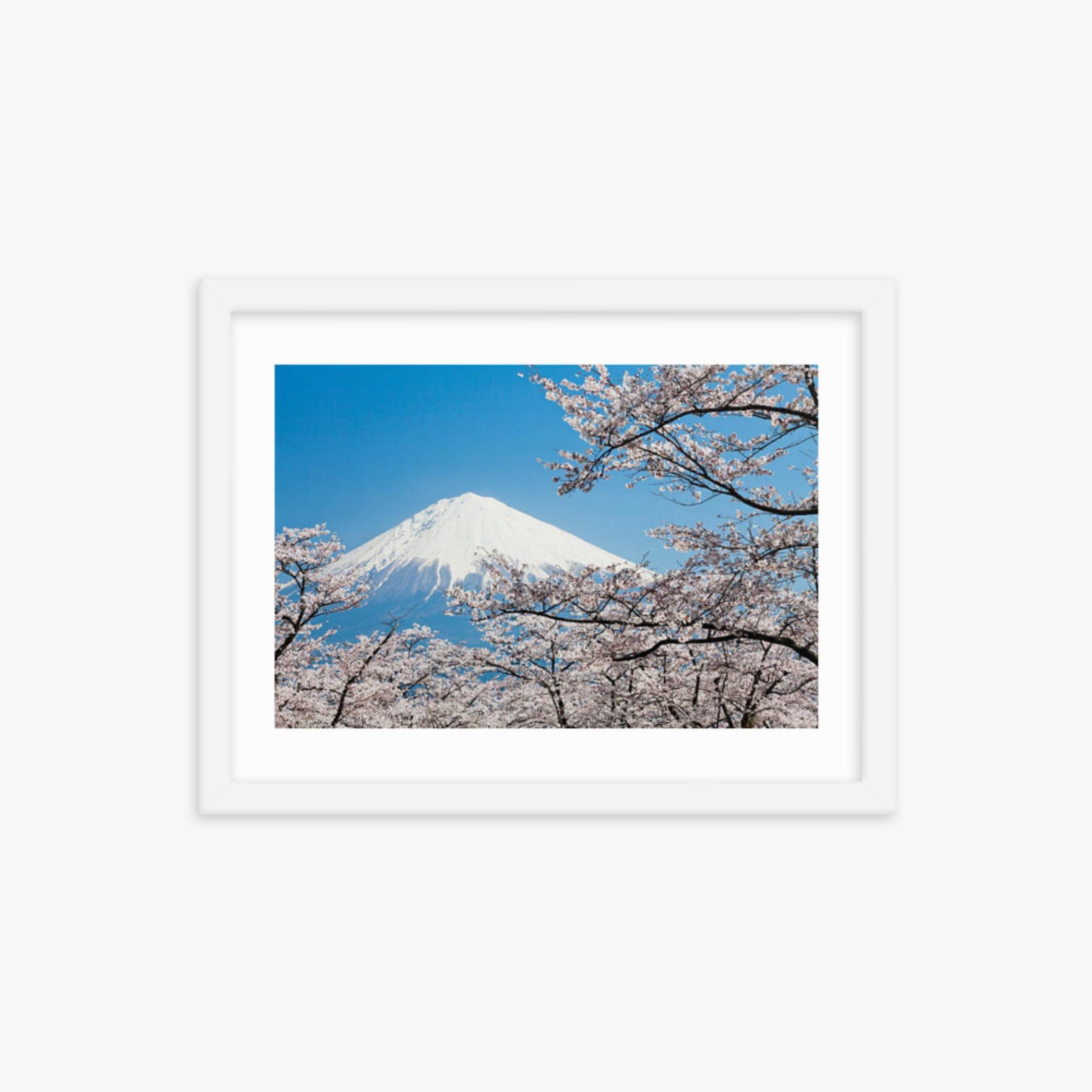 Mount Fuji & Cherry Blossoms 12x16 in Poster With White Frame