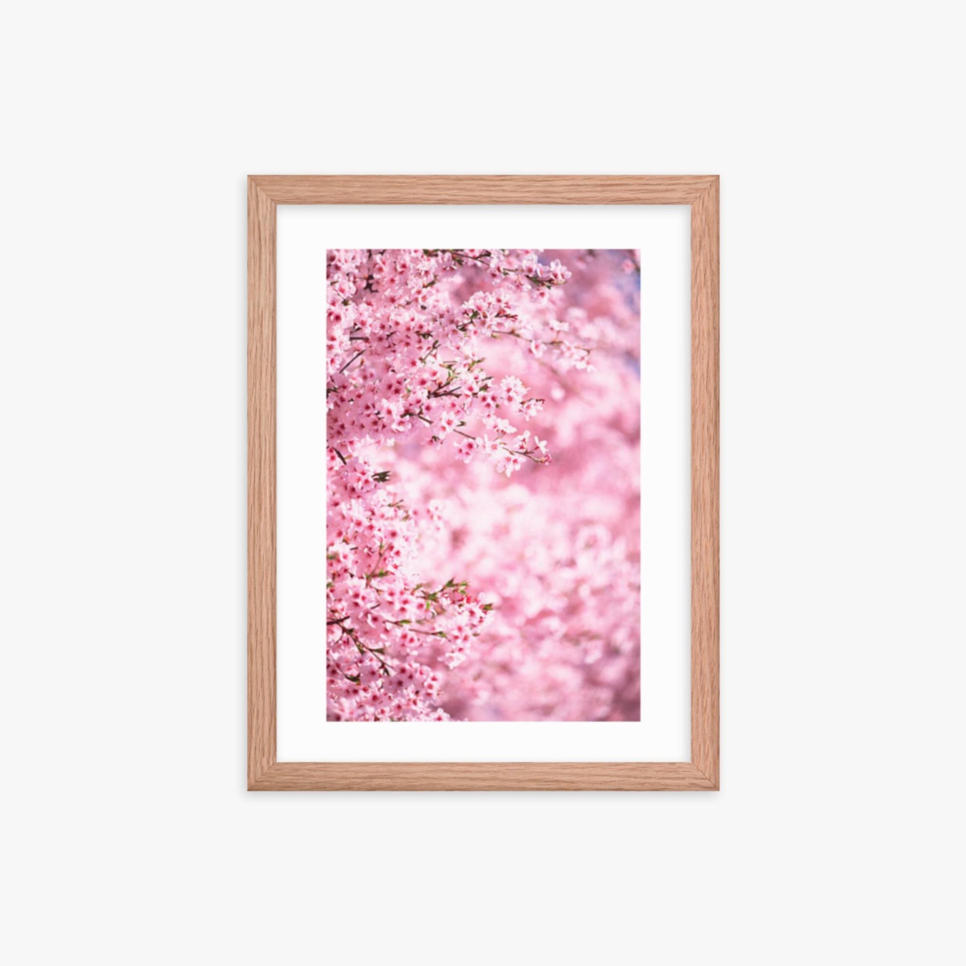 Pink Cherry Blossoms 2 12x16 in Poster With Oak Frame