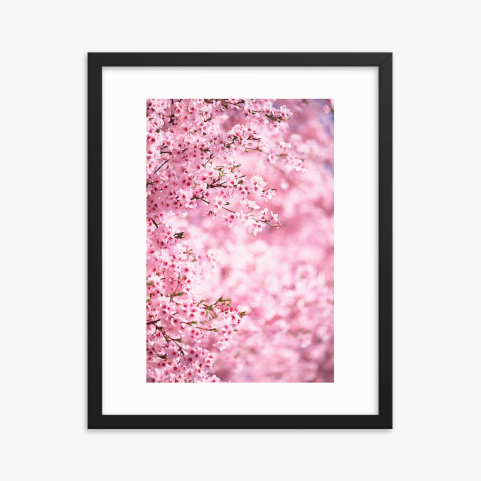 Pink Cherry Blossoms 2 16x20 in Poster With Black Frame