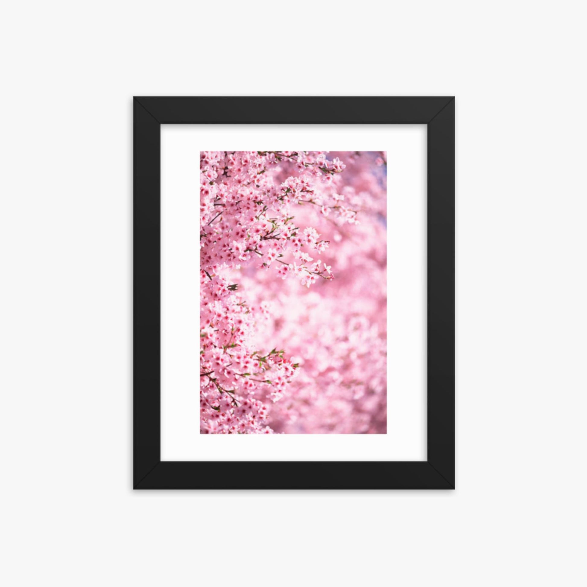 Pink Cherry Blossoms 2 8x10 in Poster With Black Frame