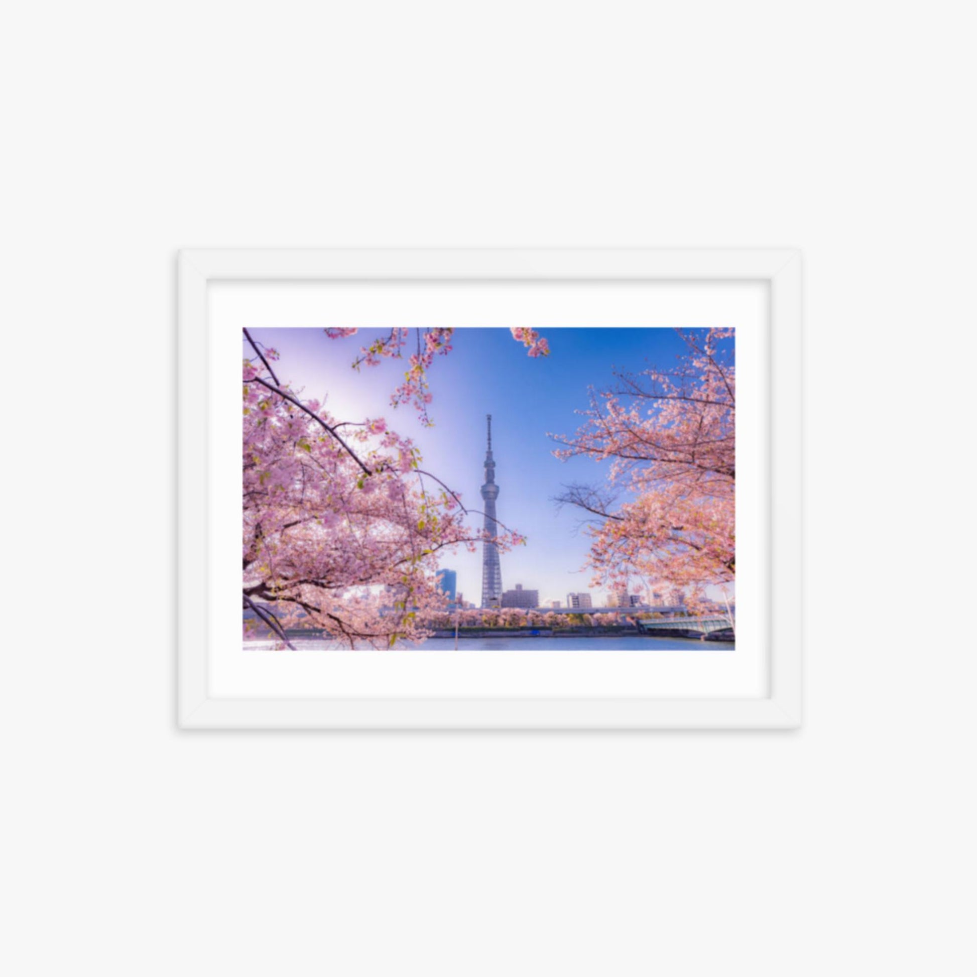 Cherry blossom and building at Asakusa Sumida Park 12x16 in Poster With White Frame