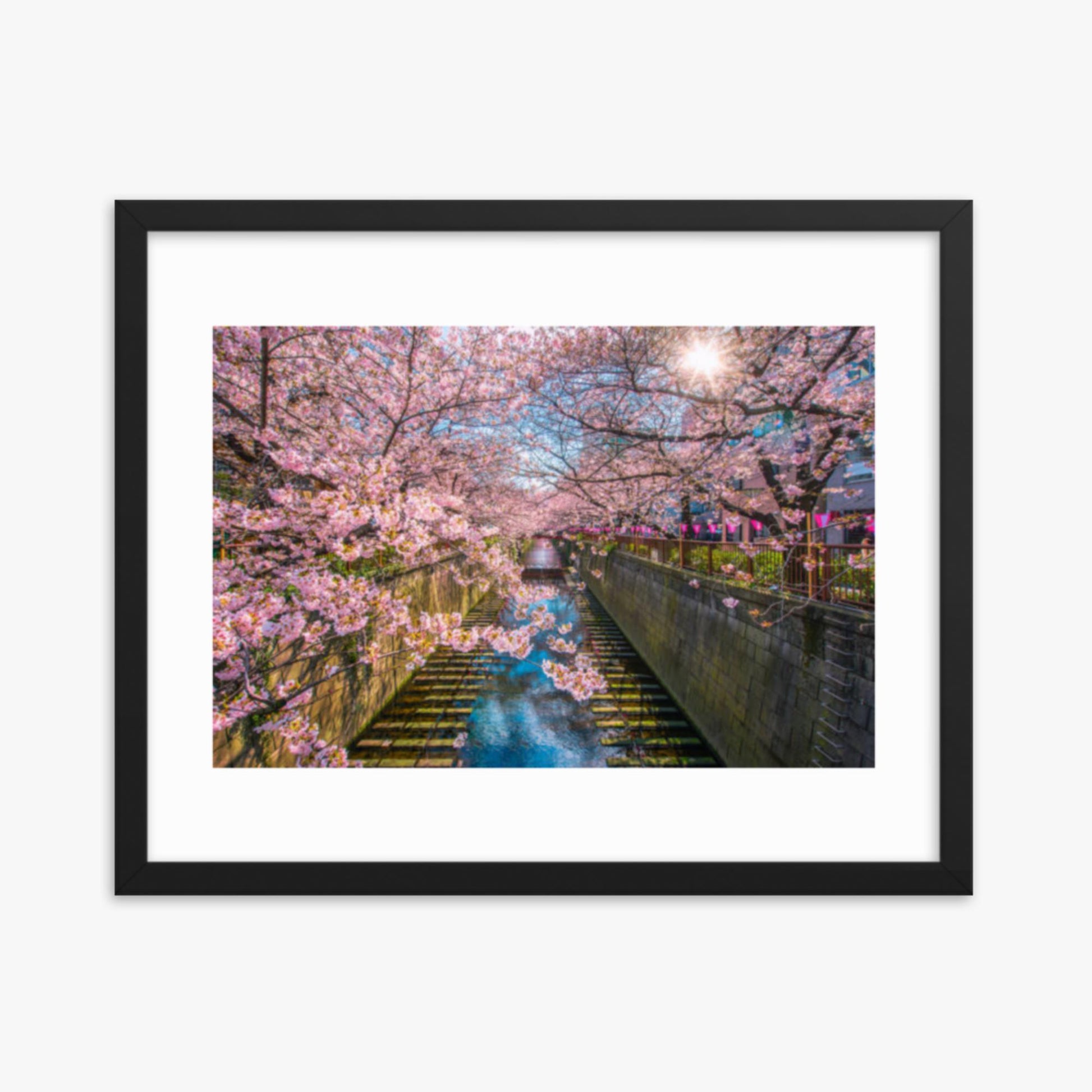 Cherry blossom sakura lined Meguro Canal in Tokyo 16x20 in Poster With Black Frame