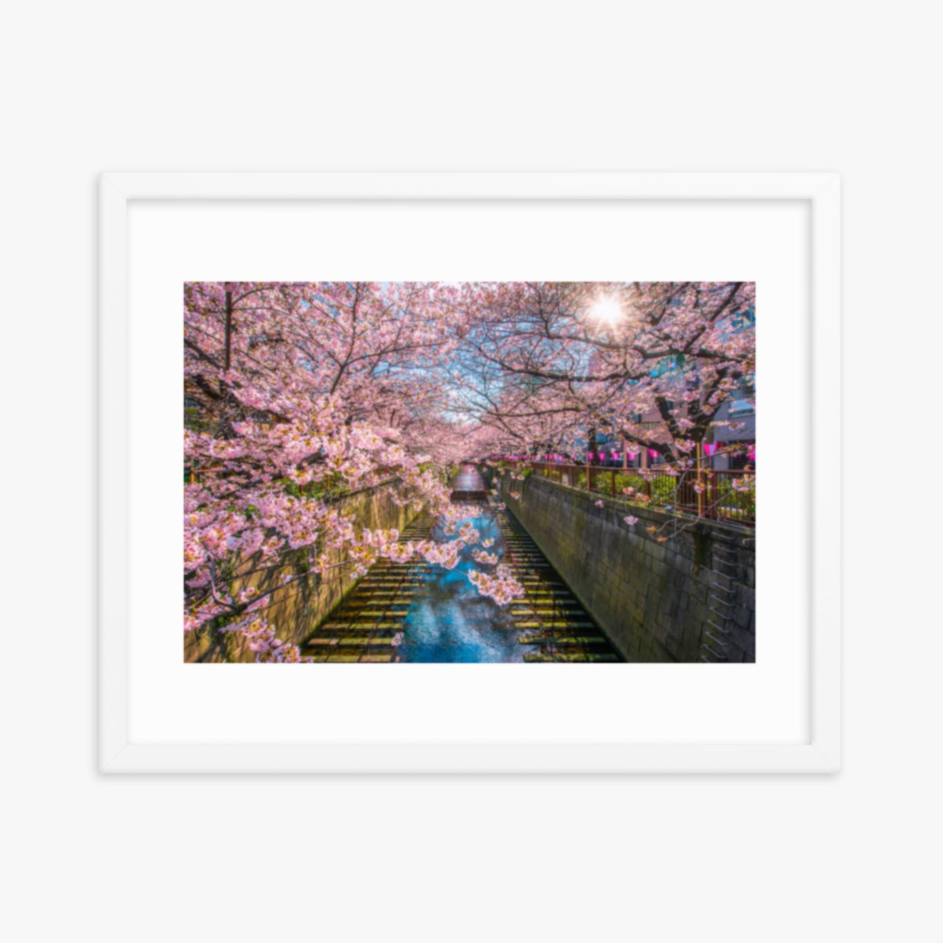 Cherry blossom sakura lined Meguro Canal in Tokyo 16x20 in Poster With White Frame