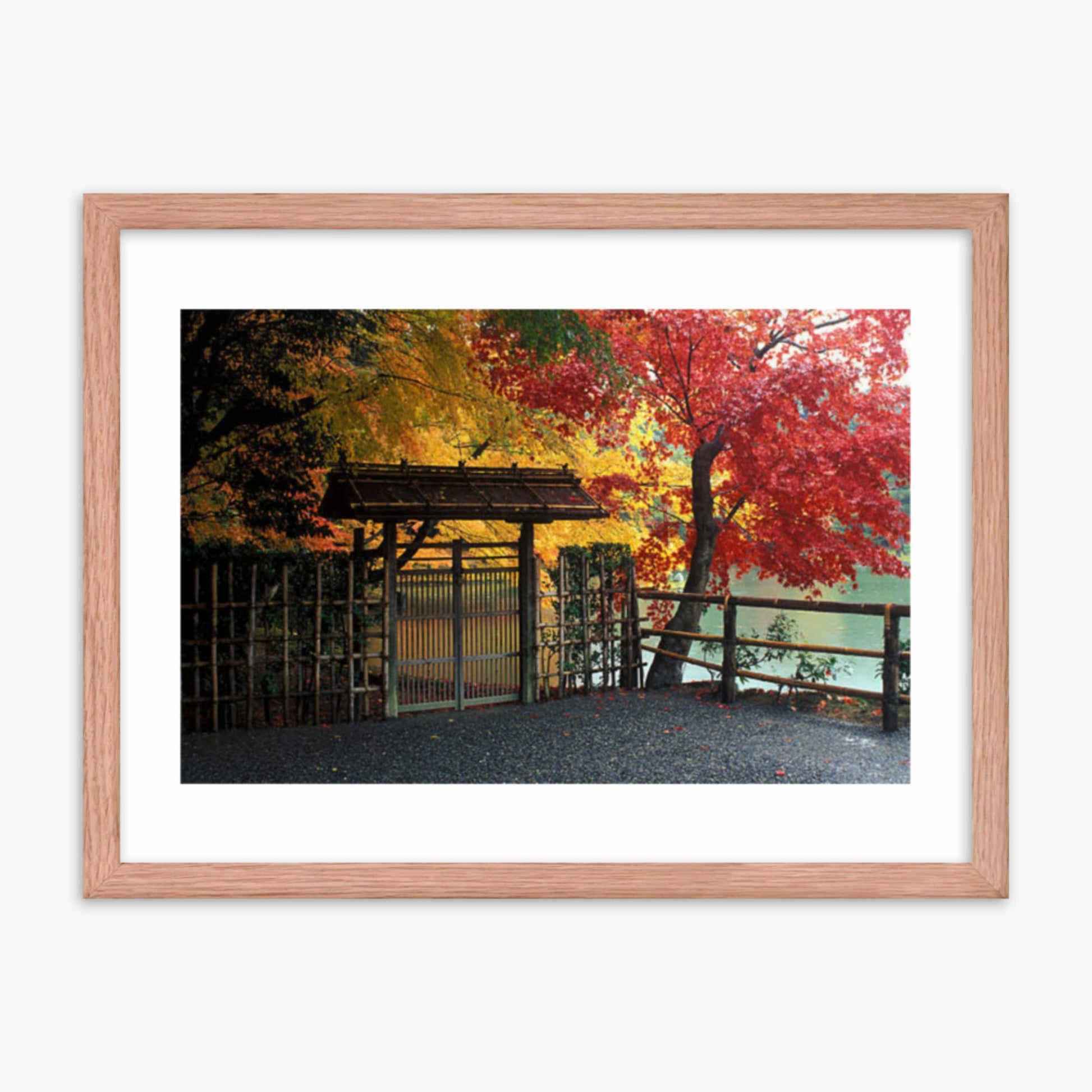 Entrace to Japanese Garden With Autumn Trees 18x24 in Poster With Oak Frame