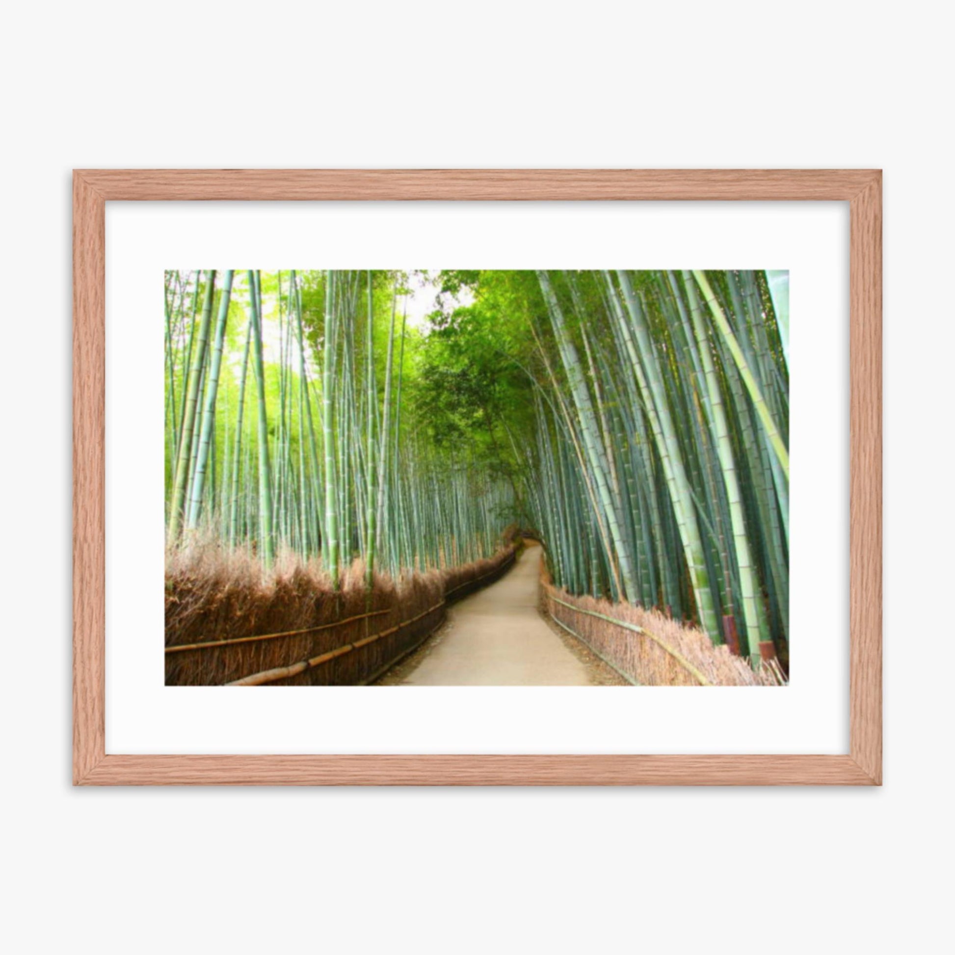 Bamboo grove in Kyoto 18x24 in Poster With Oak Frame